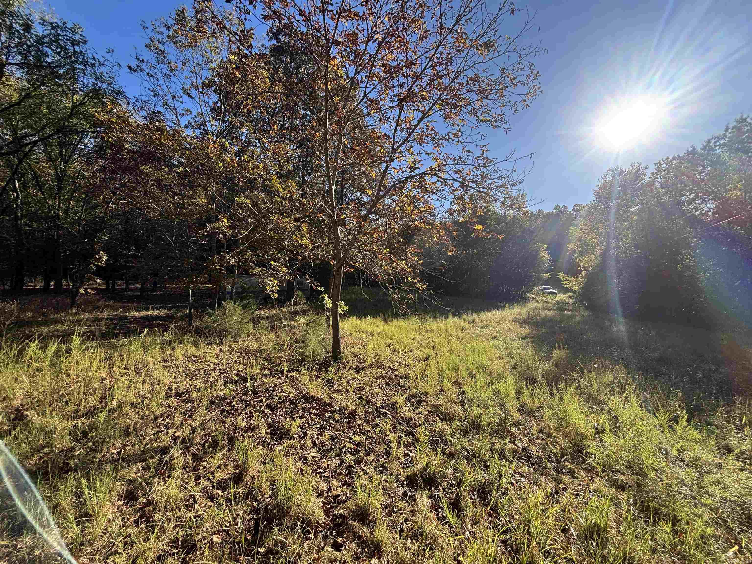 Photo 9 - Vacant Land for sale – 000  Timbercrest Road   Viola, AR