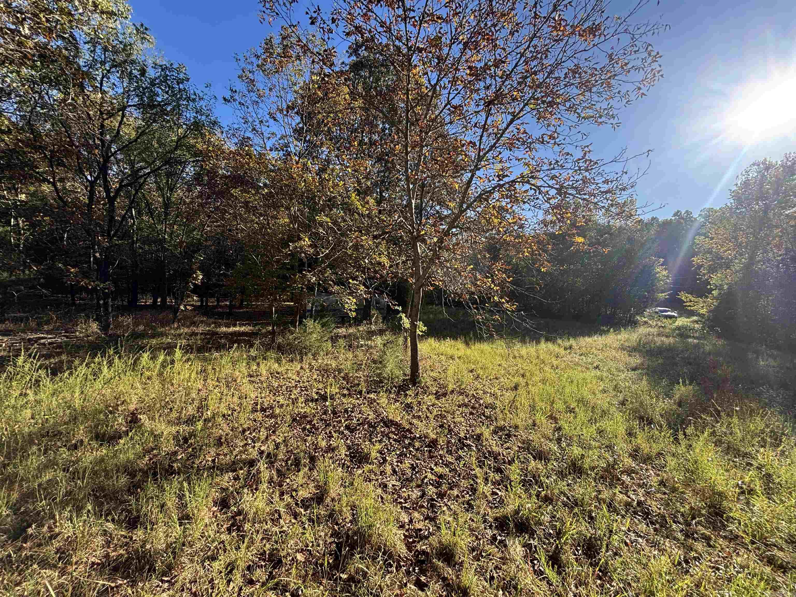 Photo 10 - Vacant Land for sale – 000  Timbercrest Road   Viola, AR