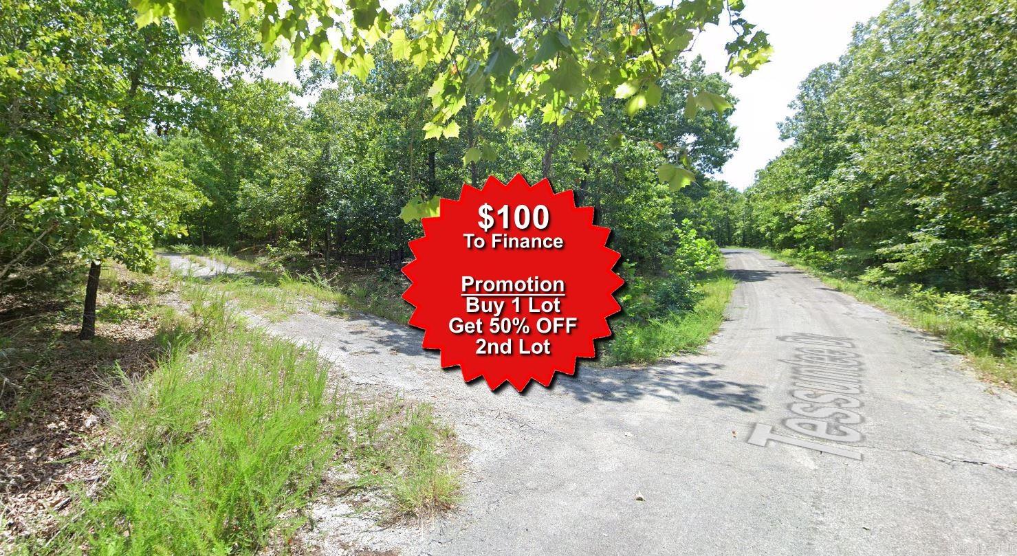 Vacant Land for sale – Lot 4  Washakie   Cherokee Village, AR
