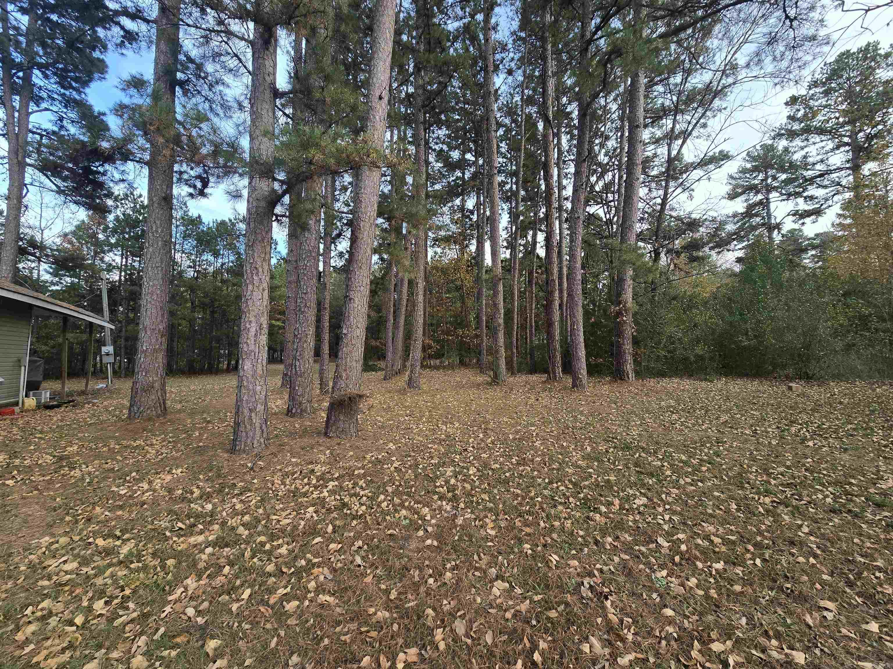 Photo 5 - Residential for sale – 174  AR 9 Spur   Melbourne, AR