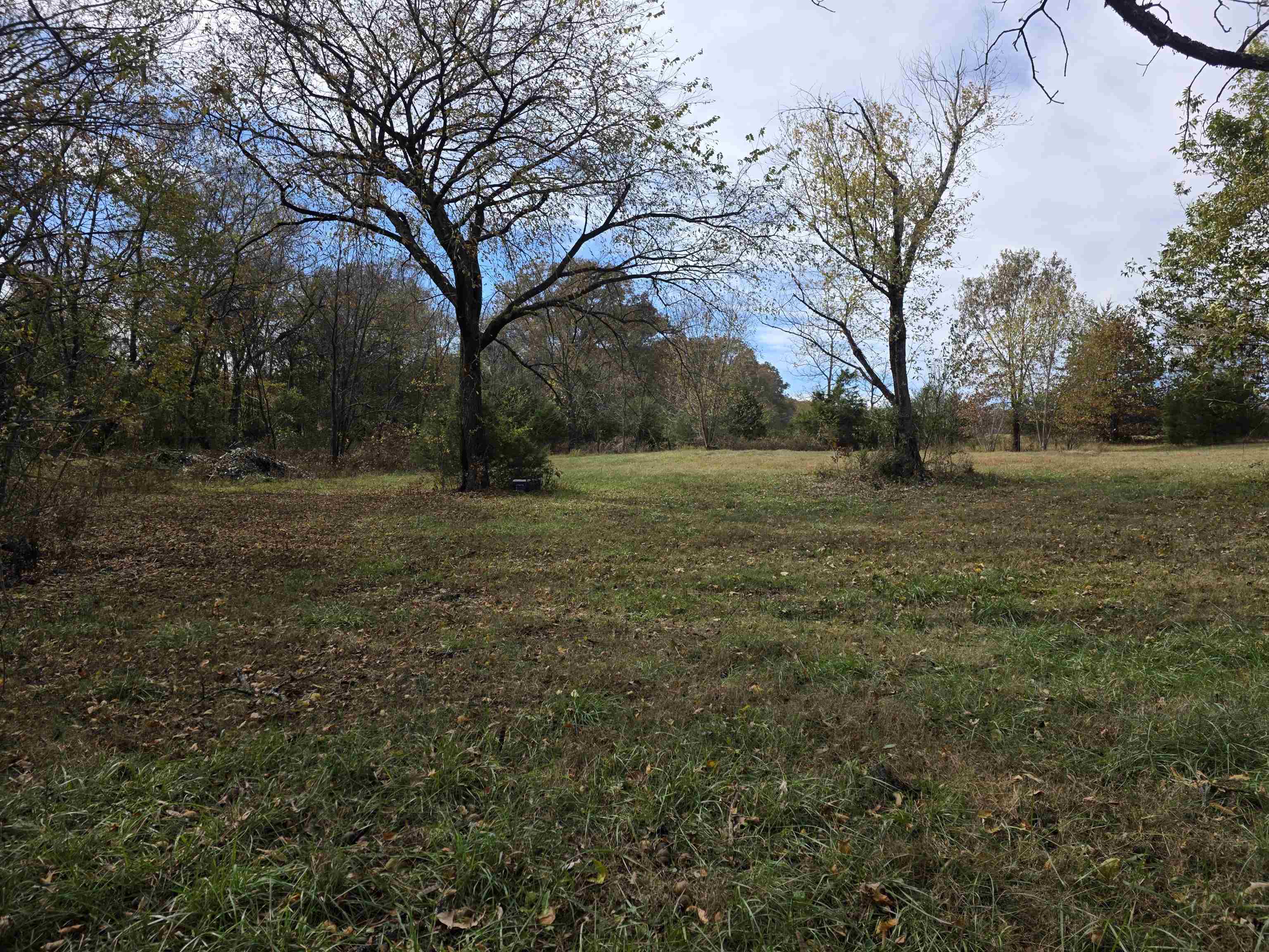 Vacant Land for sale – 270 E Maxville   Cave City, AR