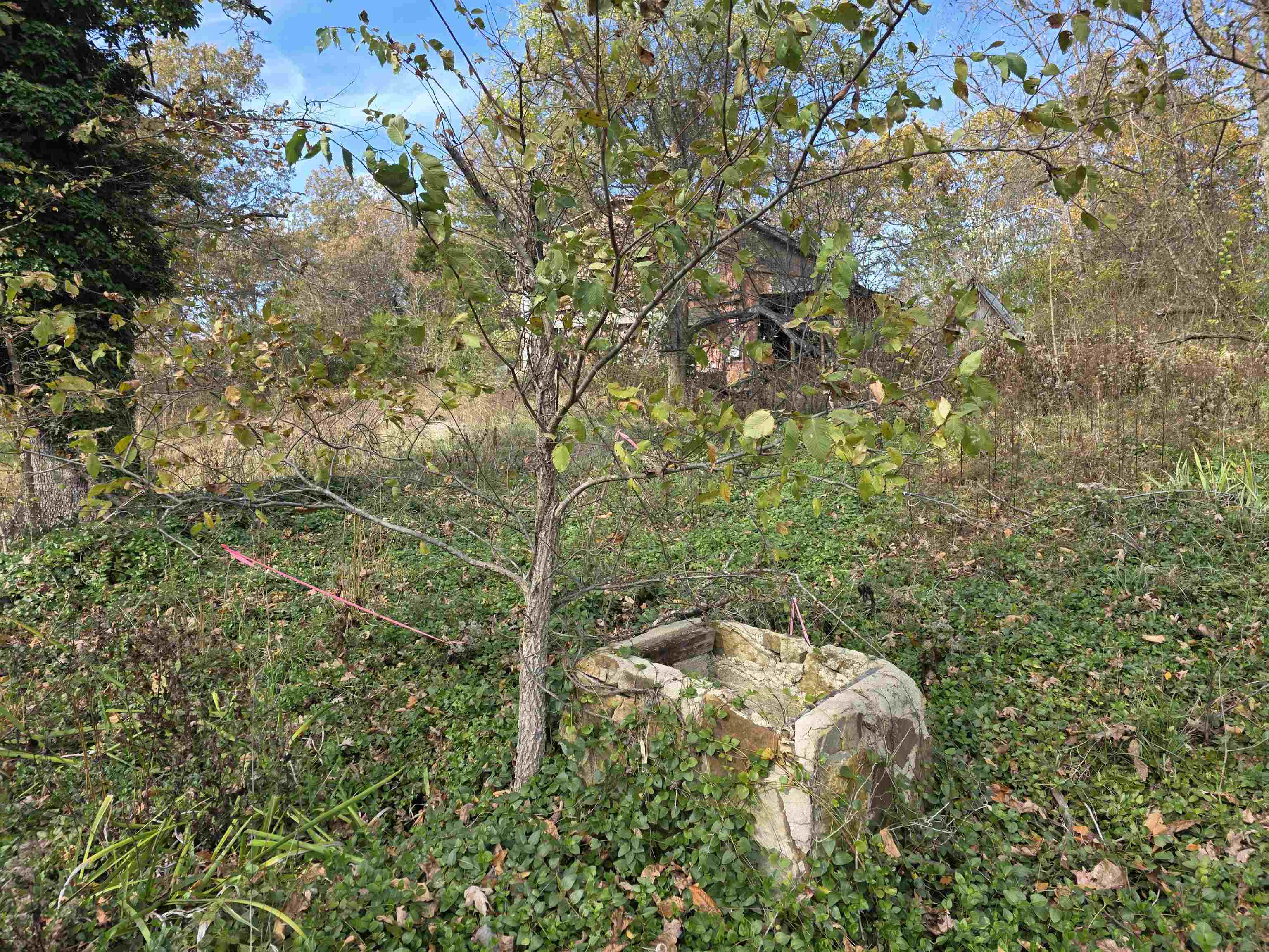 Photo 12 - Vacant Land for sale – 270 E Maxville   Cave City, AR