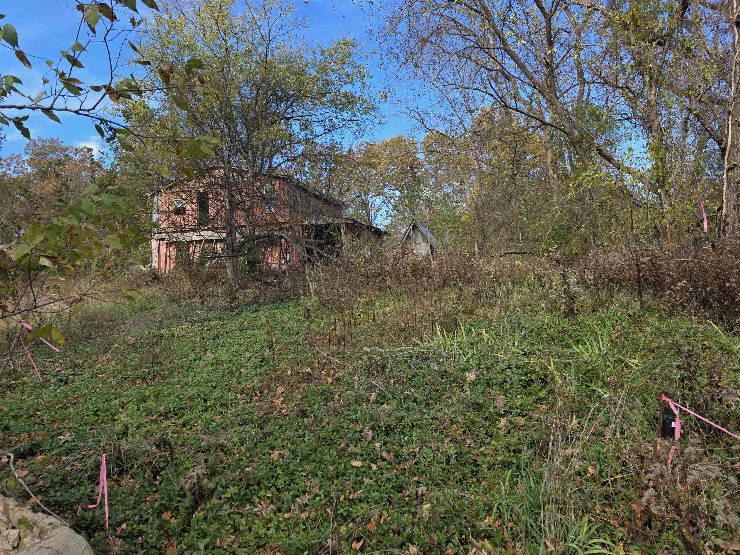 Photo 14 - Vacant Land for sale – 270 E Maxville   Cave City, AR