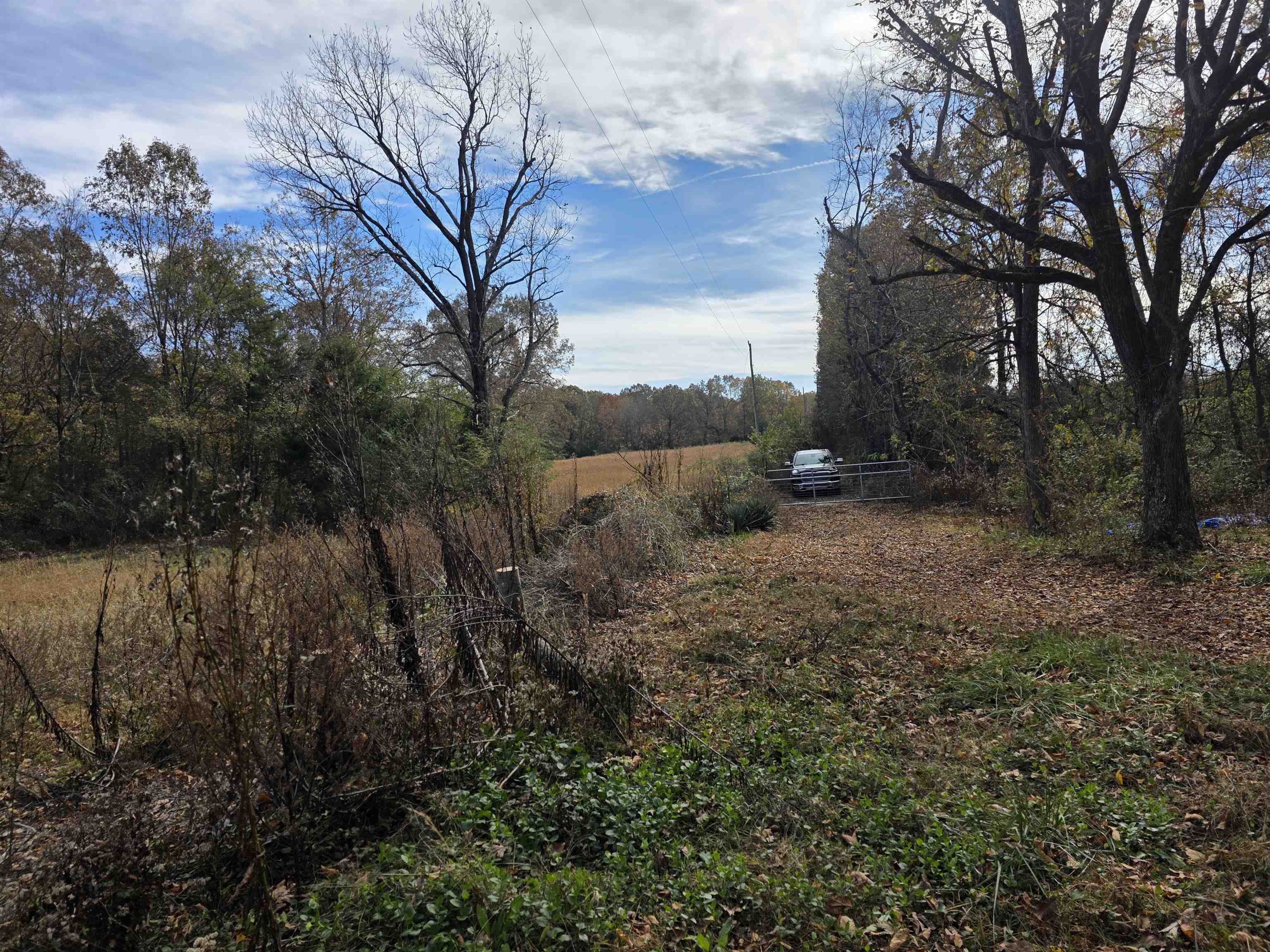 Photo 16 - Vacant Land for sale – 270 E Maxville   Cave City, AR