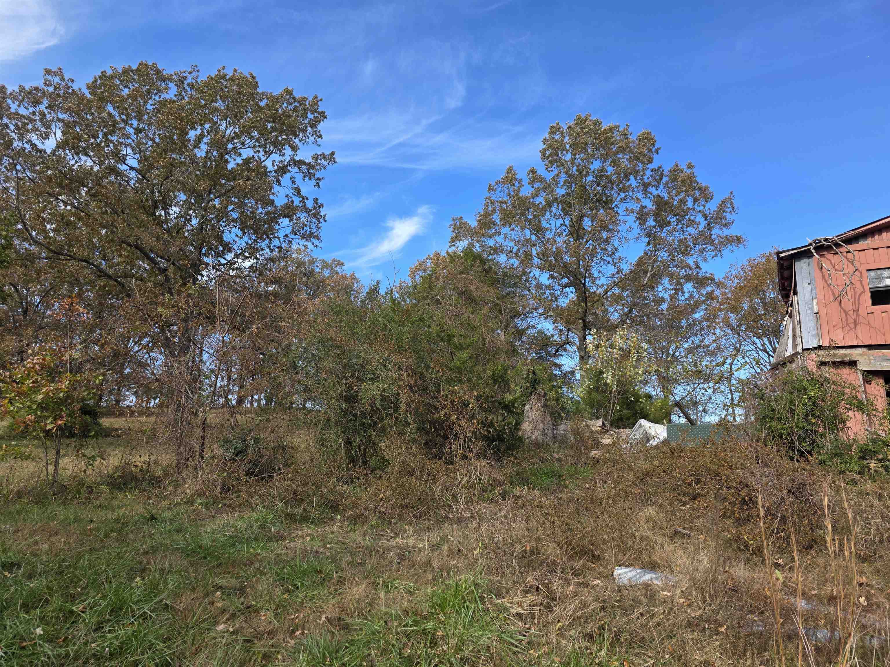 Photo 20 - Vacant Land for sale – 270 E Maxville   Cave City, AR