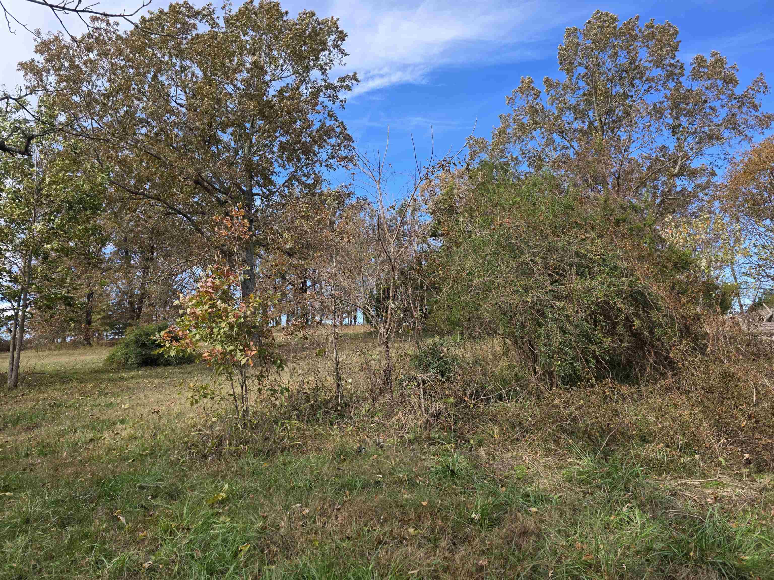 Photo 3 - Vacant Land for sale – 270 E Maxville   Cave City, AR