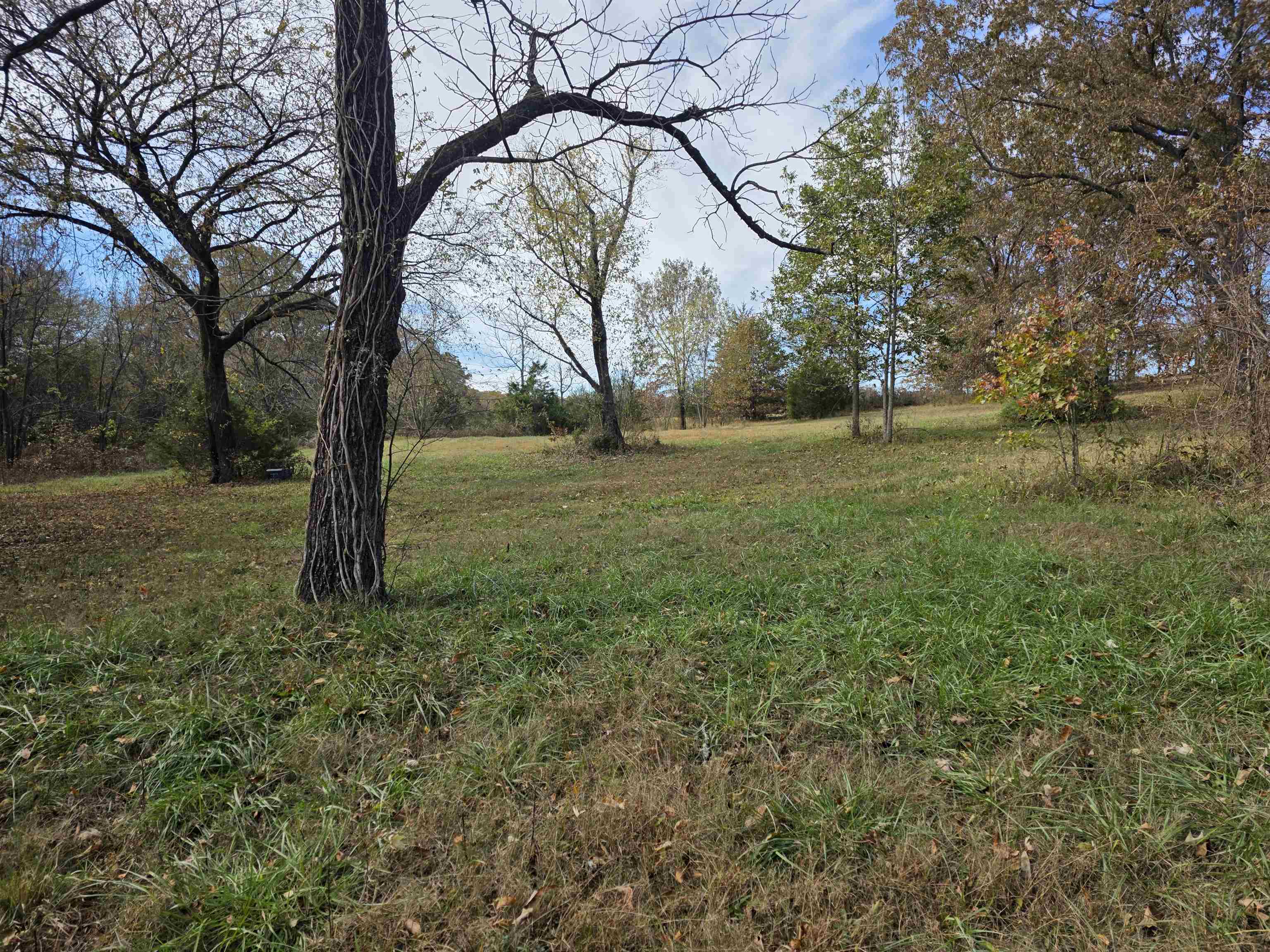 Photo 22 - Vacant Land for sale – 270 E Maxville   Cave City, AR