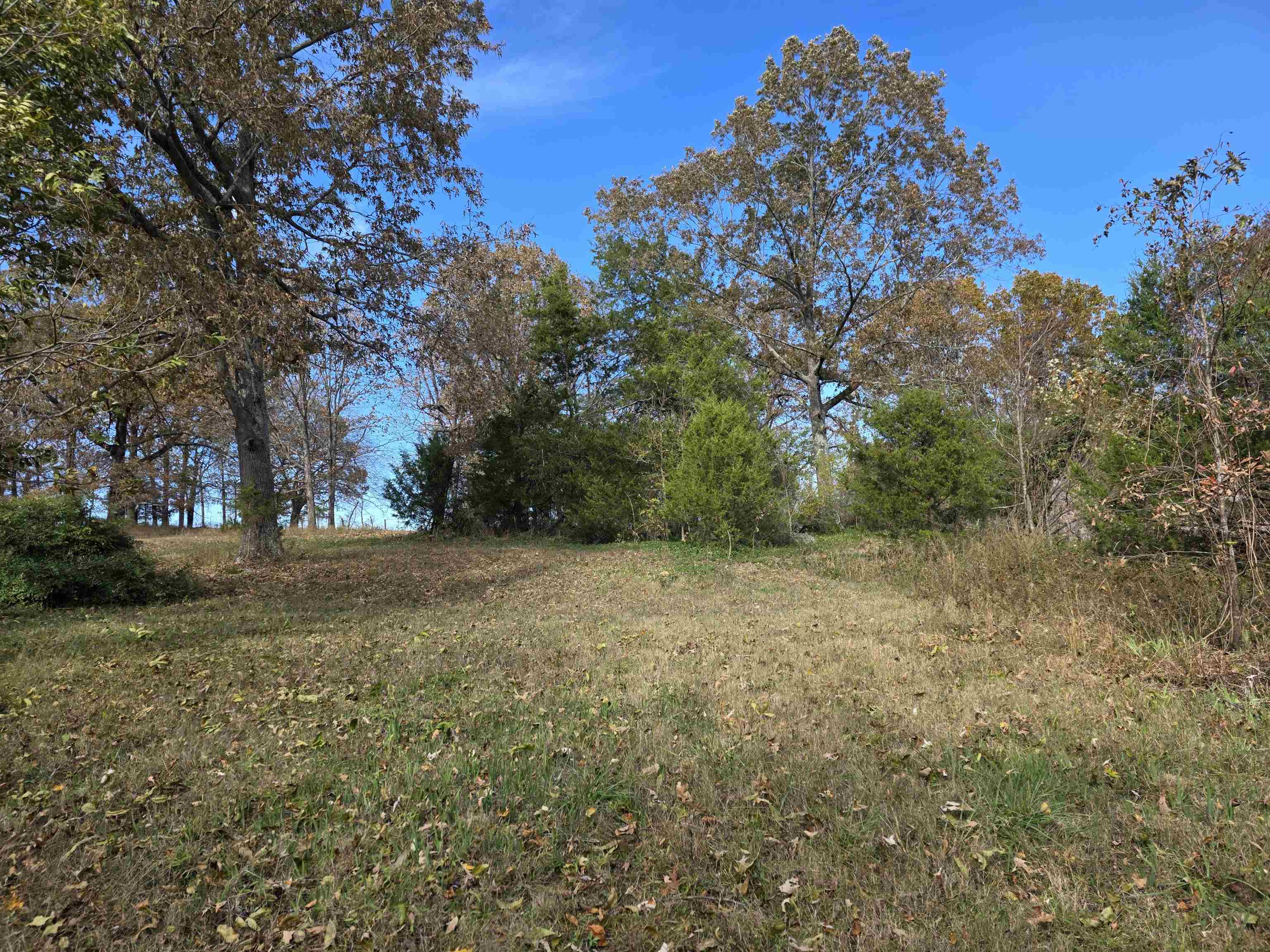 Photo 25 - Vacant Land for sale – 270 E Maxville   Cave City, AR