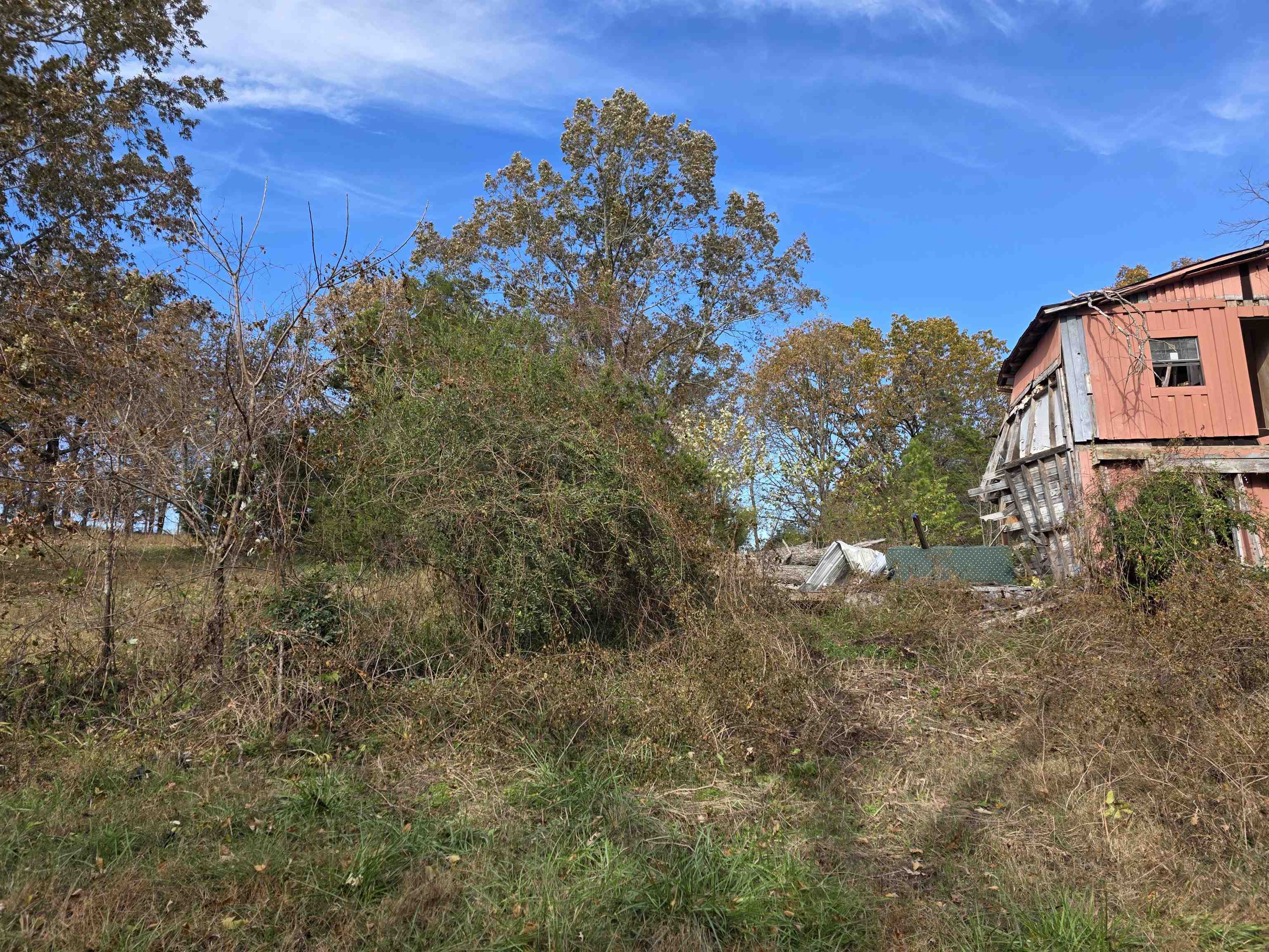 Photo 5 - Vacant Land for sale – 270 E Maxville   Cave City, AR