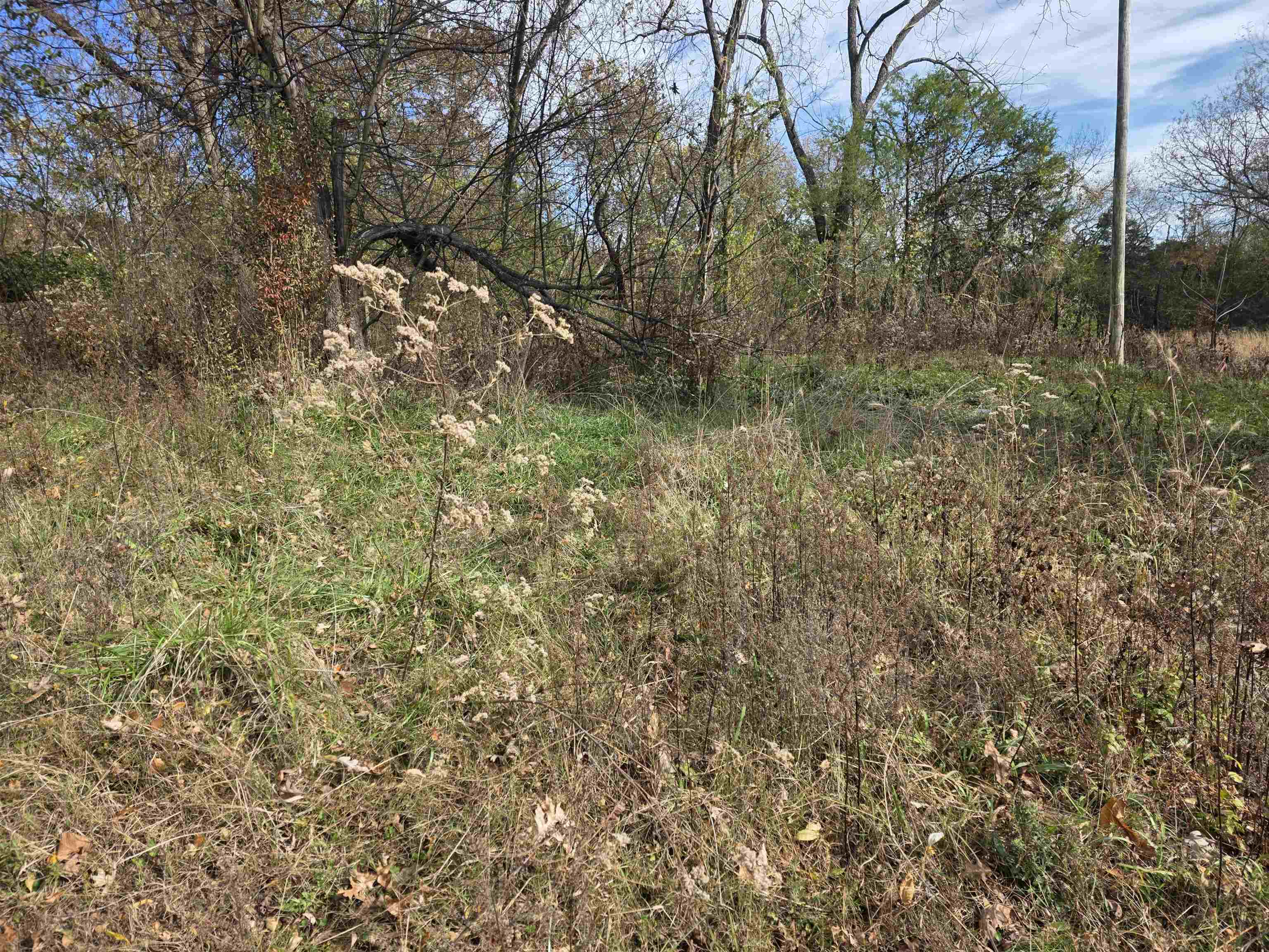 Photo 10 - Vacant Land for sale – 270 E Maxville   Cave City, AR