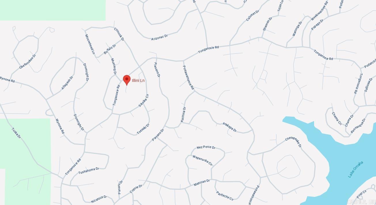 Photo 3 - Vacant Land for sale – Lot 17  Illini   Cherokee Village, AR