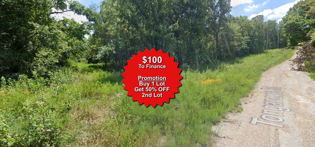 Vacant Land for sale – Lot 10  Siksika   Cherokee Village, AR