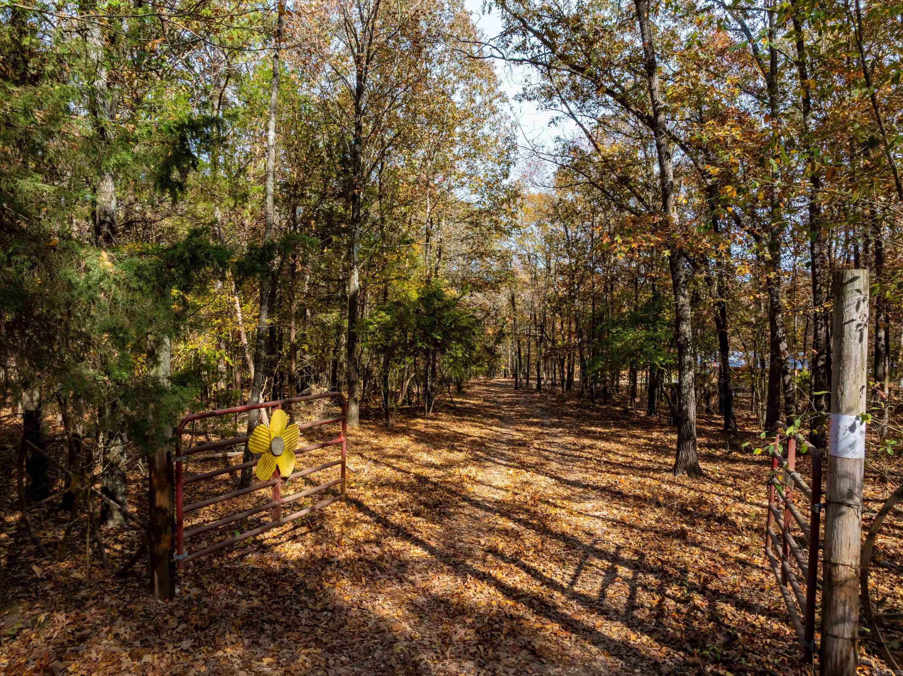 Photo 20 - Residential for sale – 253  Judge Anderson Rd   Strawberry, AR