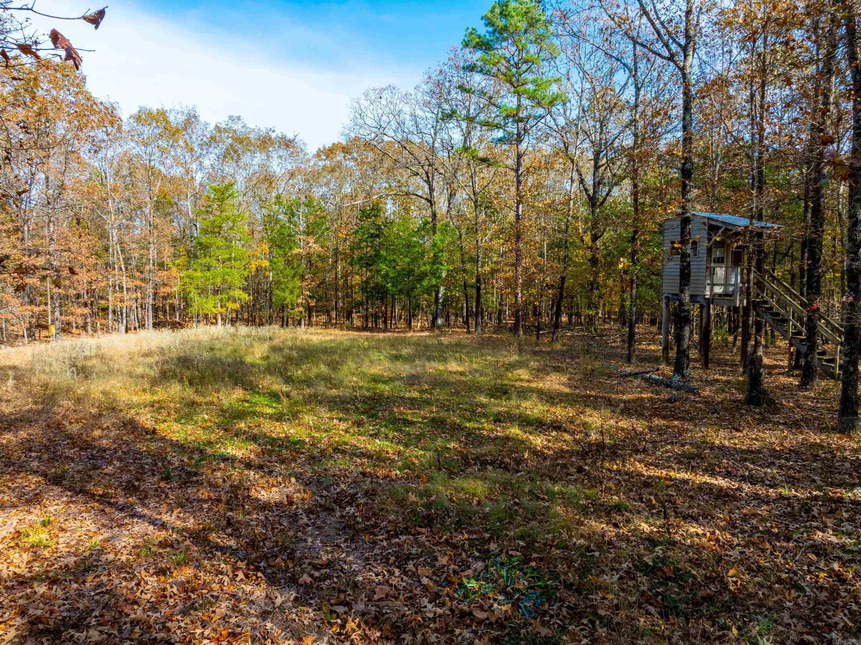 Photo 22 - Residential for sale – 253  Judge Anderson Rd   Strawberry, AR