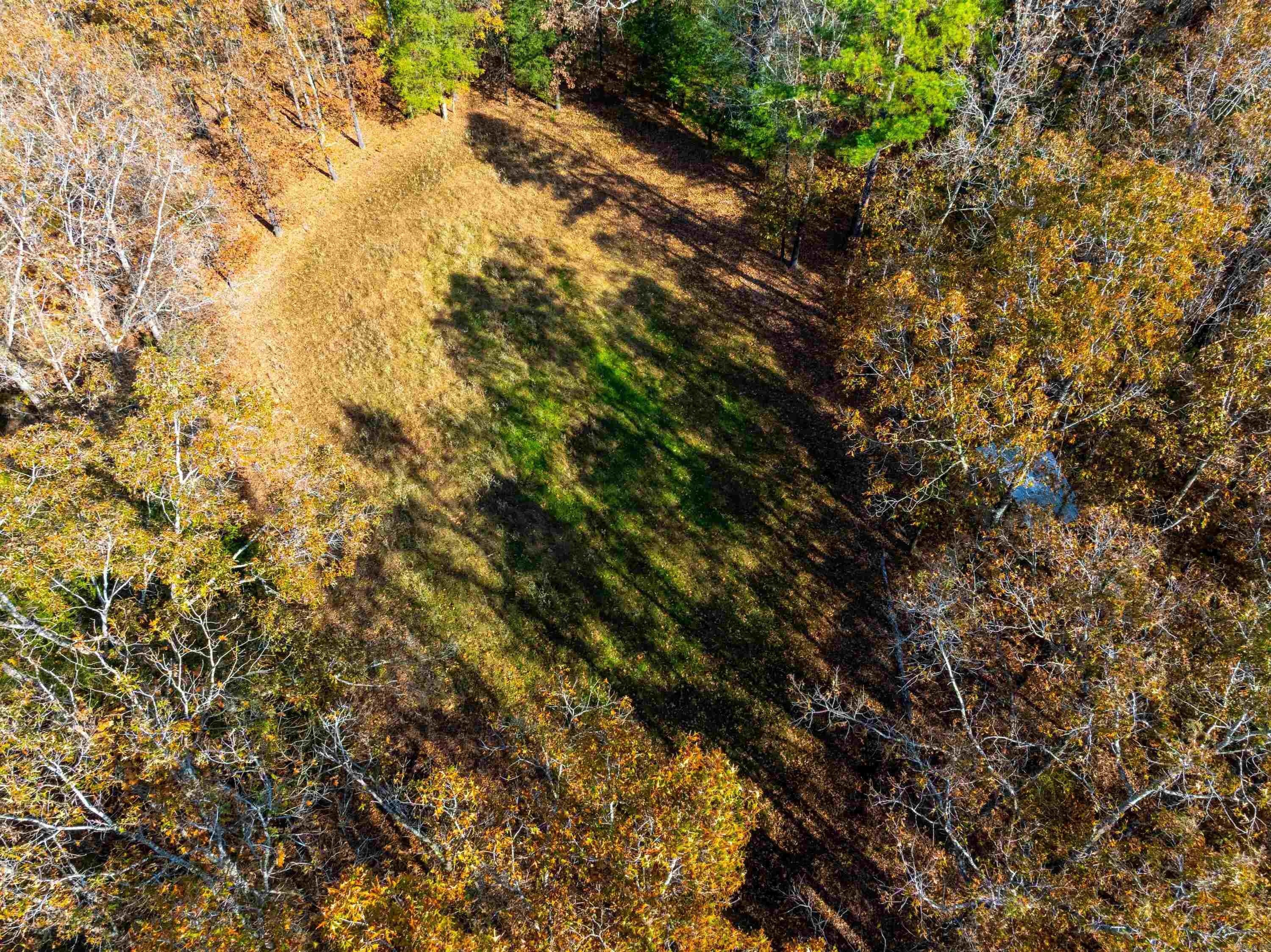 Photo 23 - Residential for sale – 253  Judge Anderson Rd   Strawberry, AR