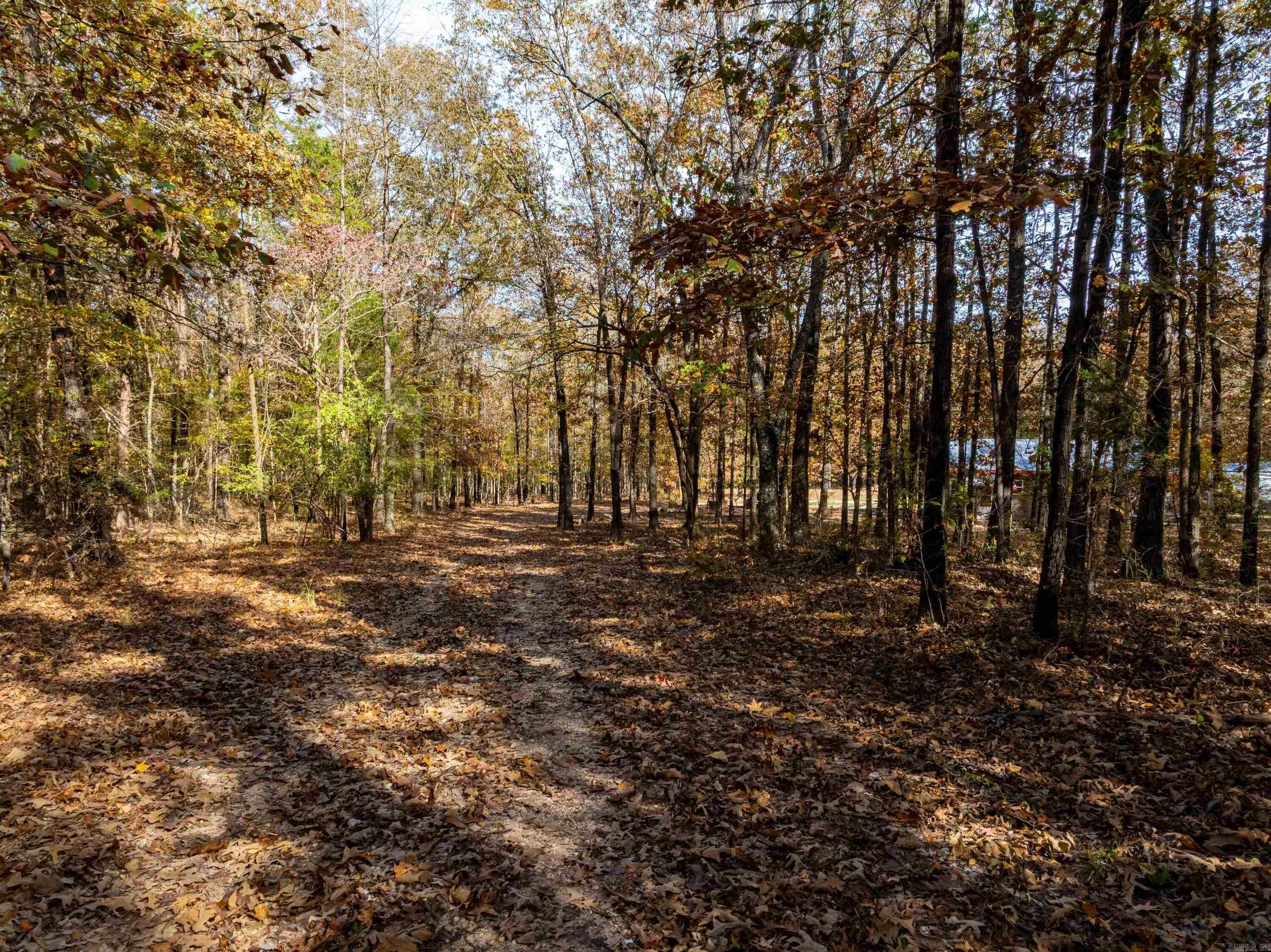 Photo 4 - Residential for sale – 253  Judge Anderson Rd   Strawberry, AR