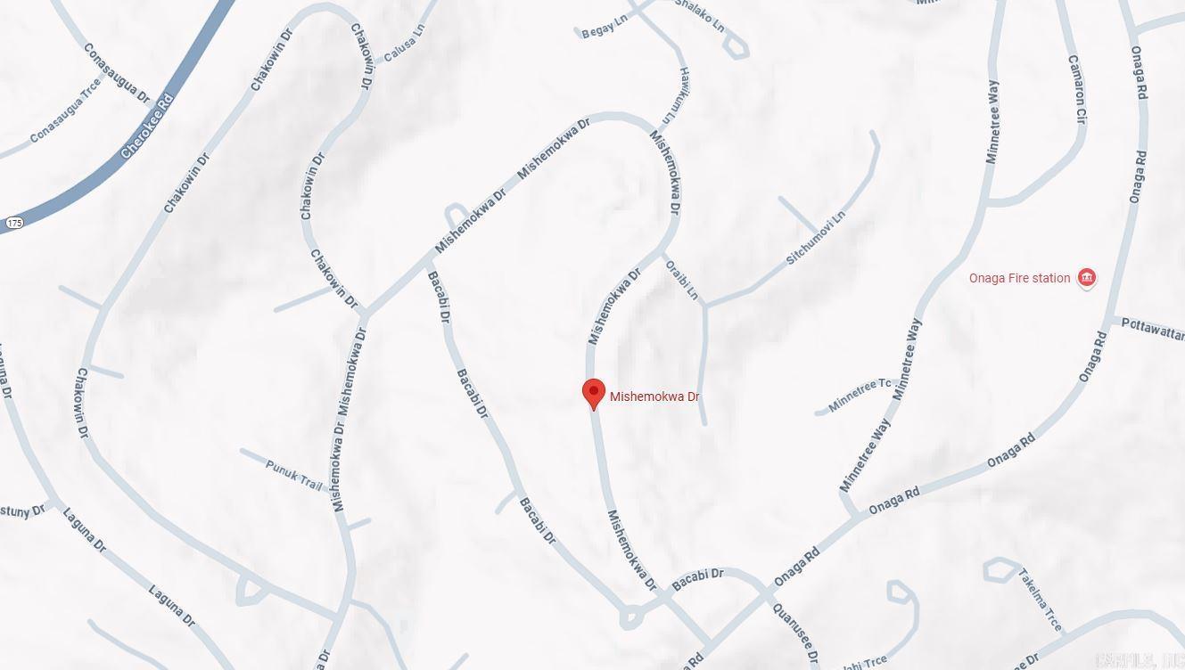 Photo 3 - Vacant Land for sale – Lot 3  Mishemokwa   Cherokee Village, AR