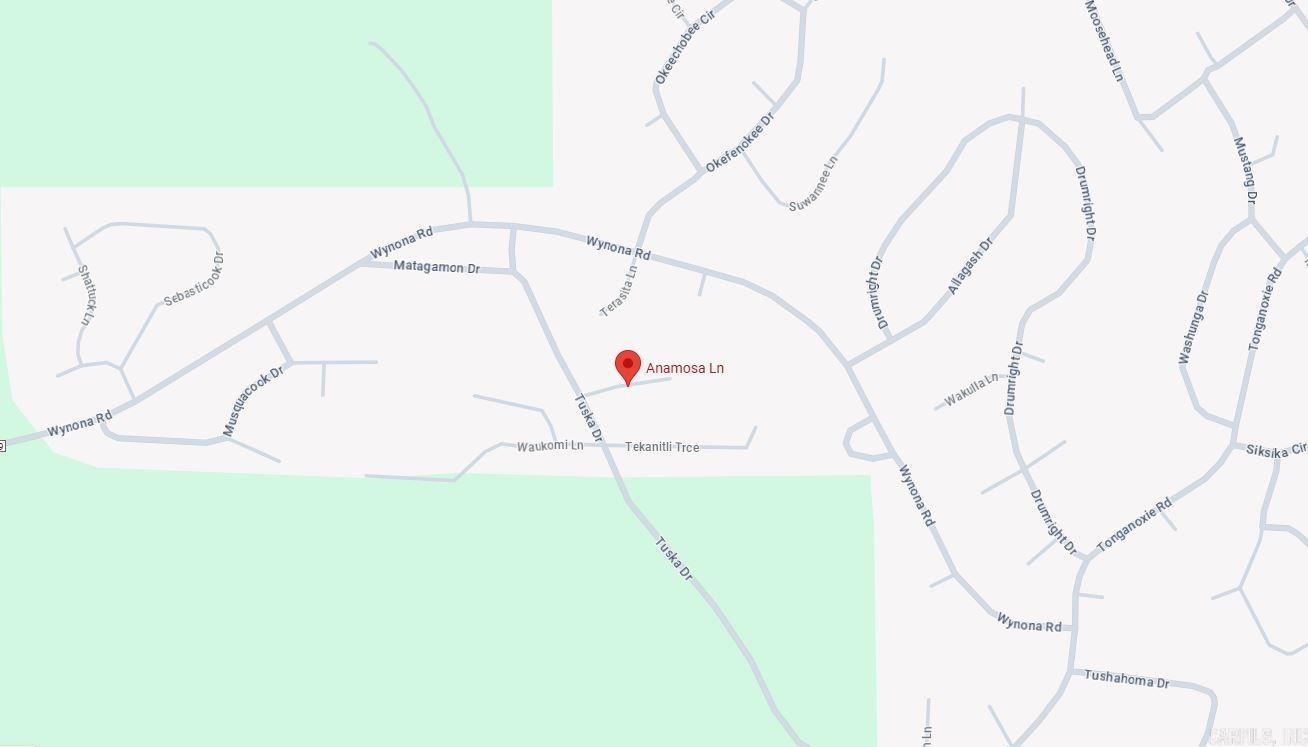 Photo 3 - Vacant Land for sale – Lot 1  Anamosa   Cherokee Village, AR