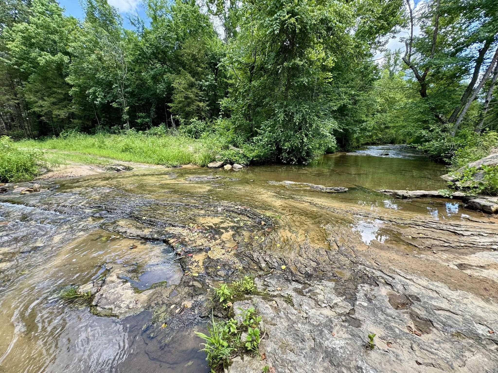 Photo 11 - Vacant Land for sale – 0000  Rose Trail   Melbourne, AR