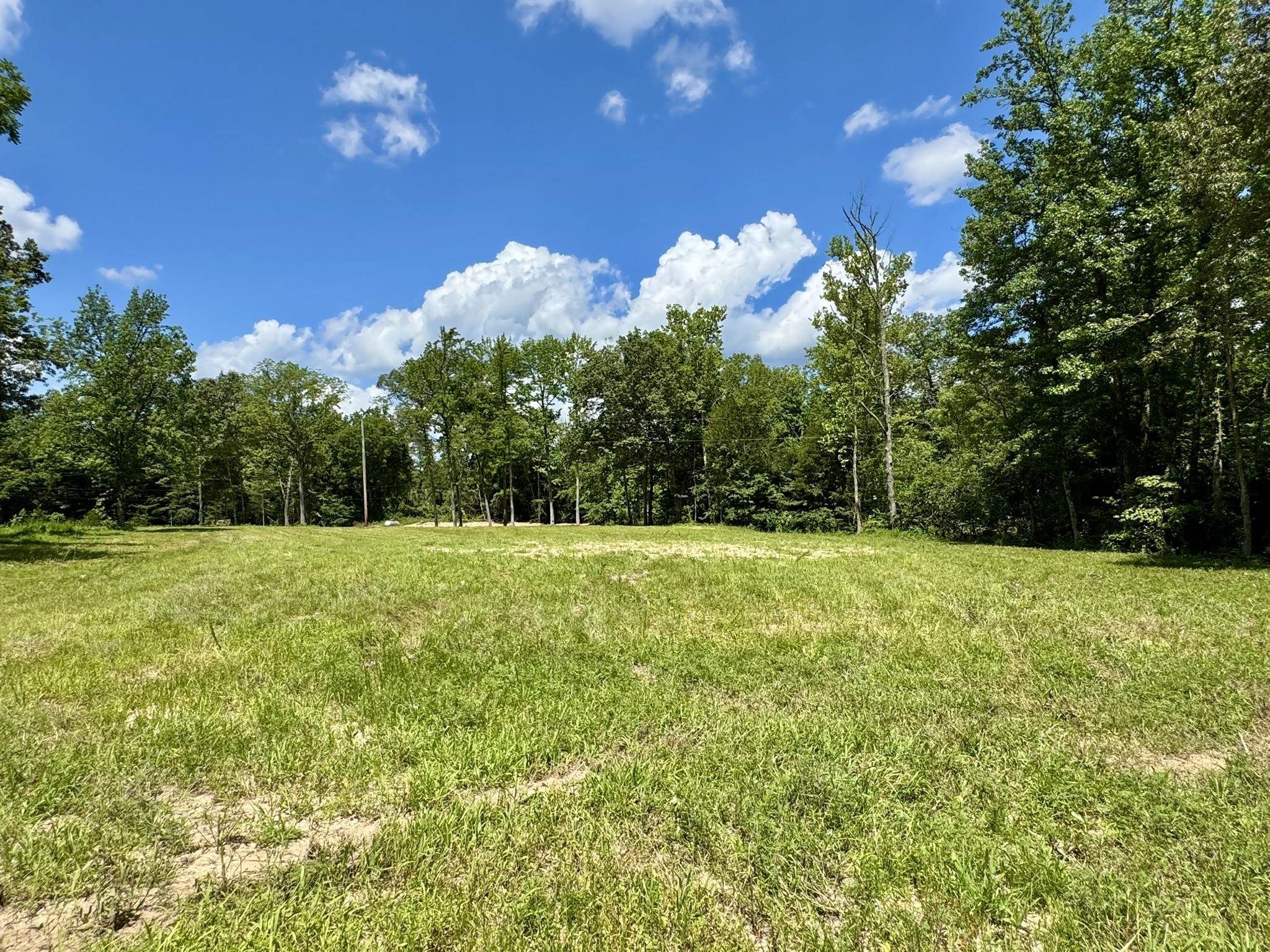 Photo 14 - Vacant Land for sale – 0000  Rose Trail   Melbourne, AR