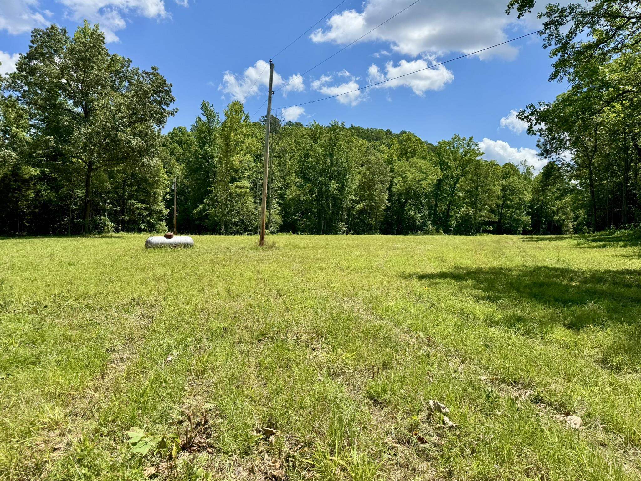 Photo 16 - Vacant Land for sale – 0000  Rose Trail   Melbourne, AR