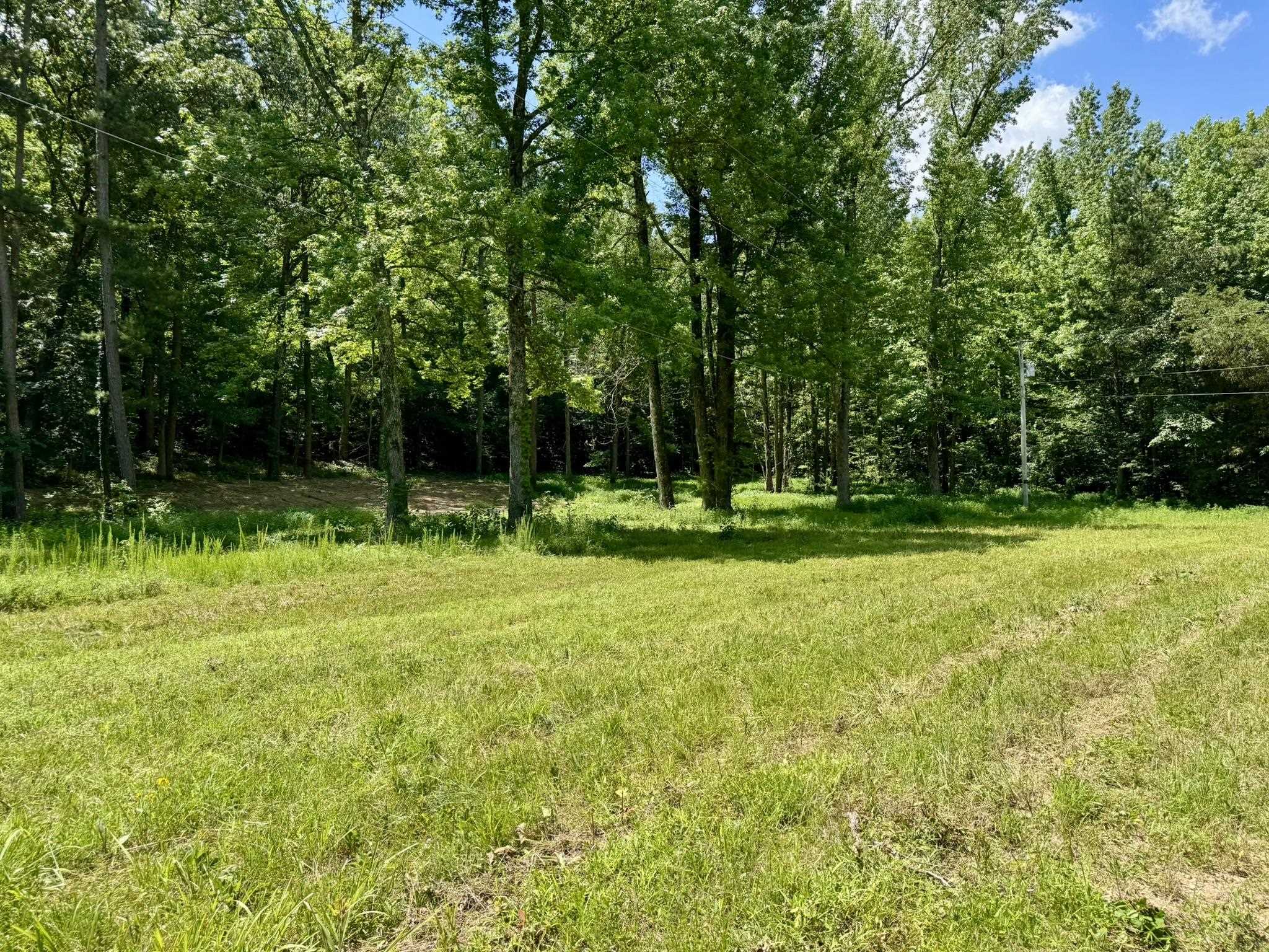 Photo 17 - Vacant Land for sale – 0000  Rose Trail   Melbourne, AR