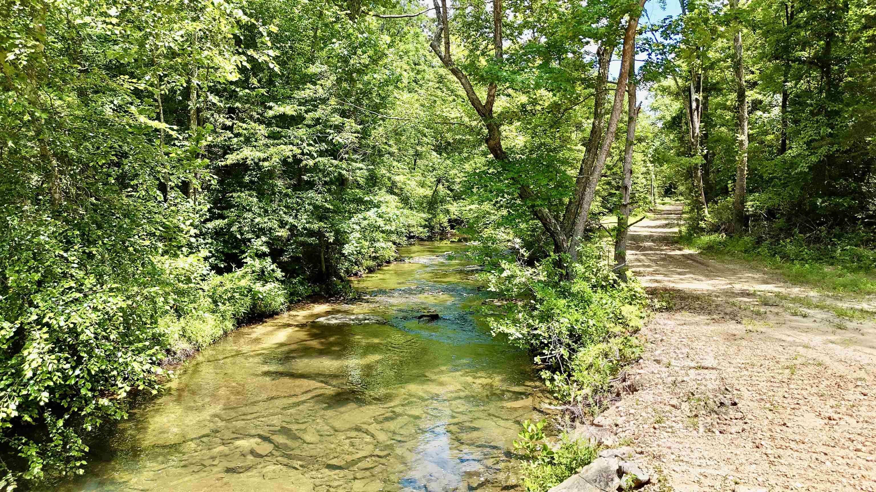 Photo 7 - Vacant Land for sale – 0000  Rose Trail   Melbourne, AR