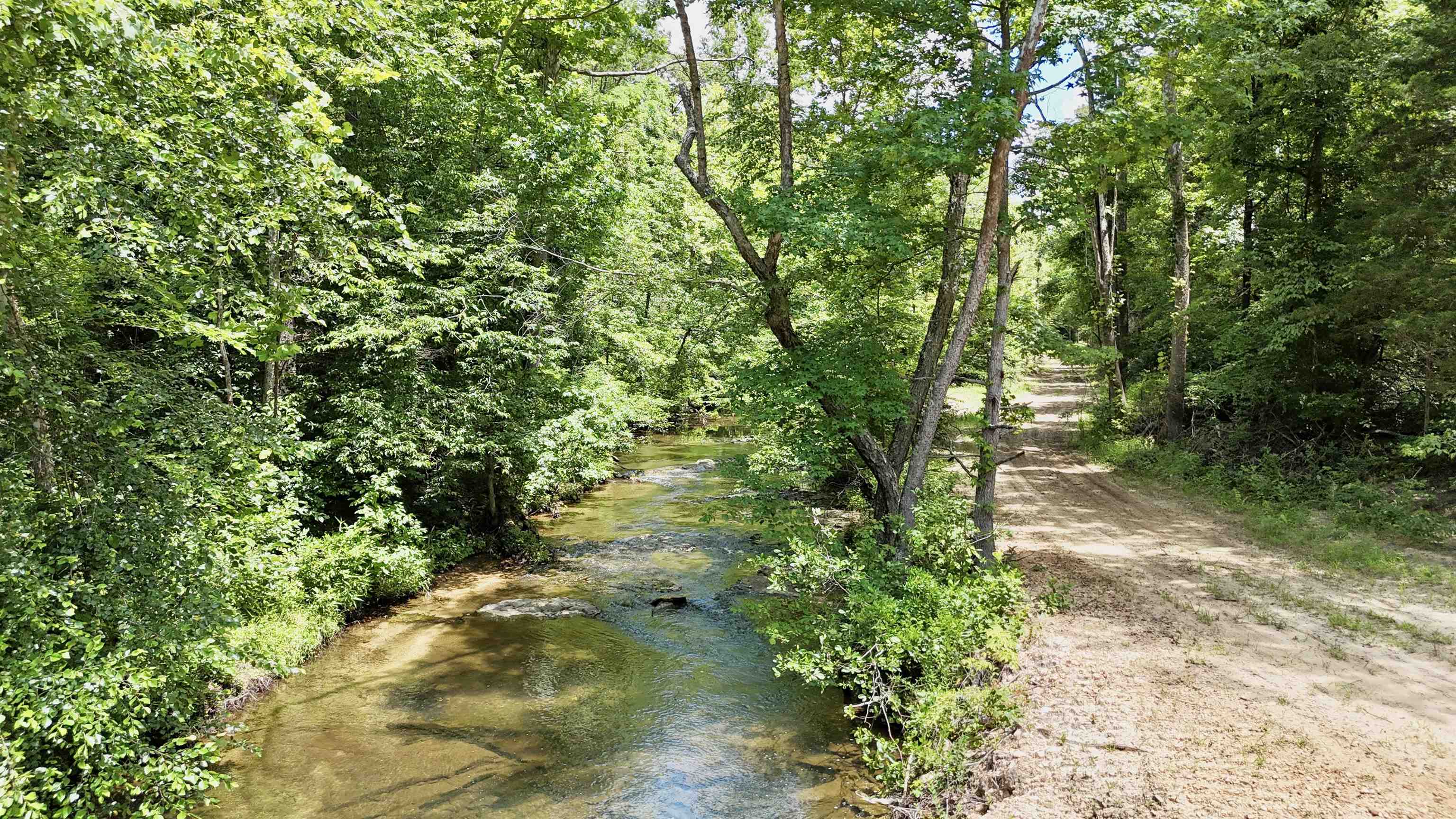 Photo 8 - Vacant Land for sale – 0000  Rose Trail   Melbourne, AR