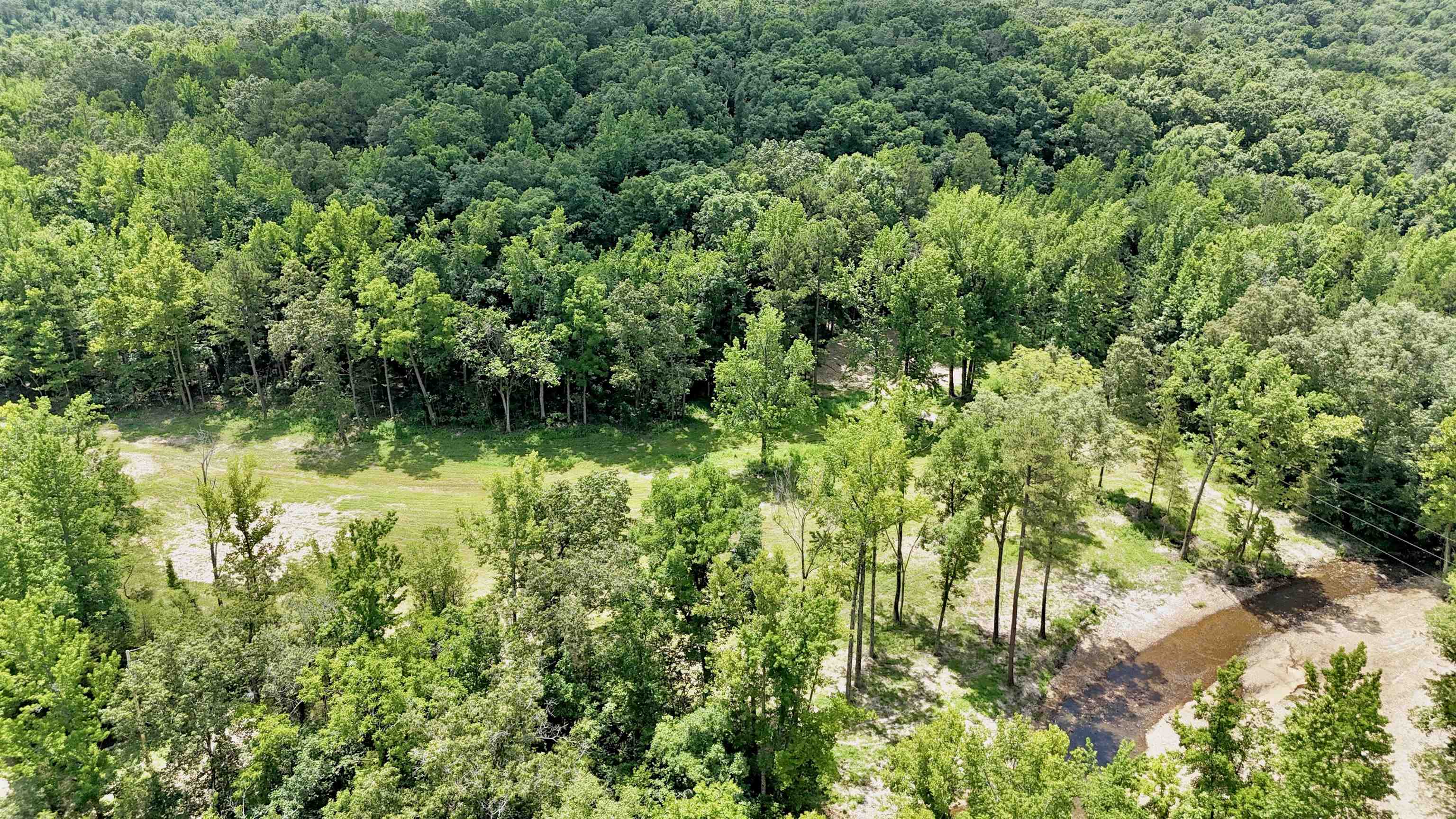 Photo 9 - Vacant Land for sale – 0000  Rose Trail   Melbourne, AR