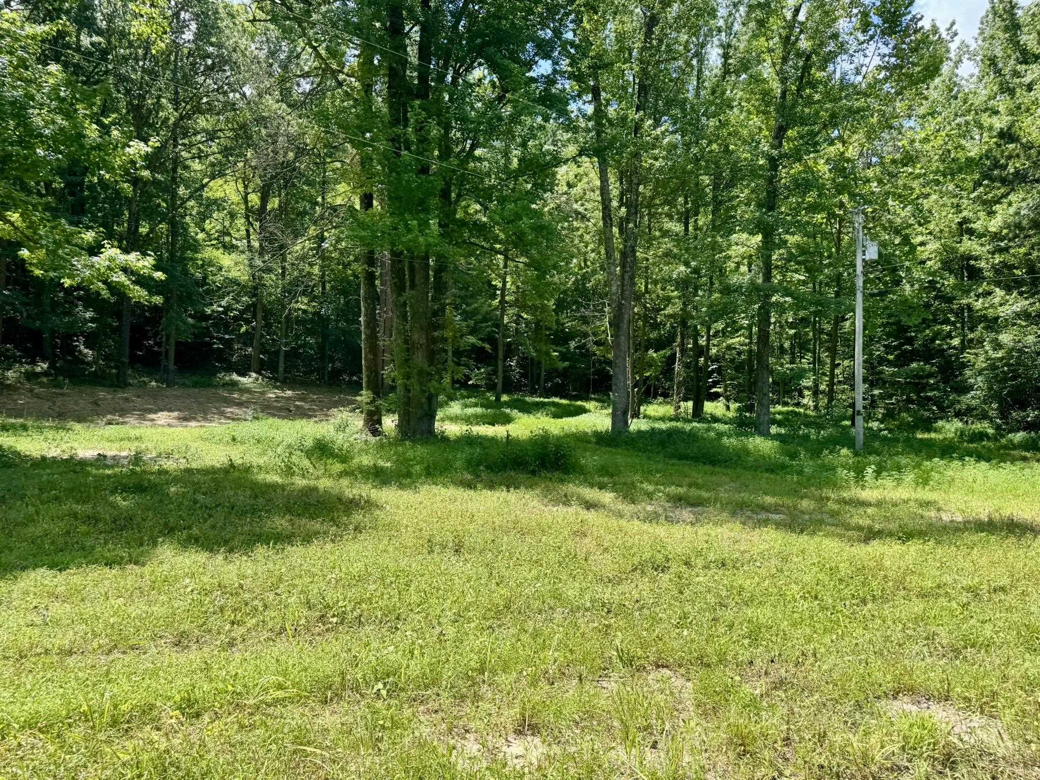 Photo 8 - Vacant Land for sale – 42.83 acres  Rose Trail   Melbourne, AR