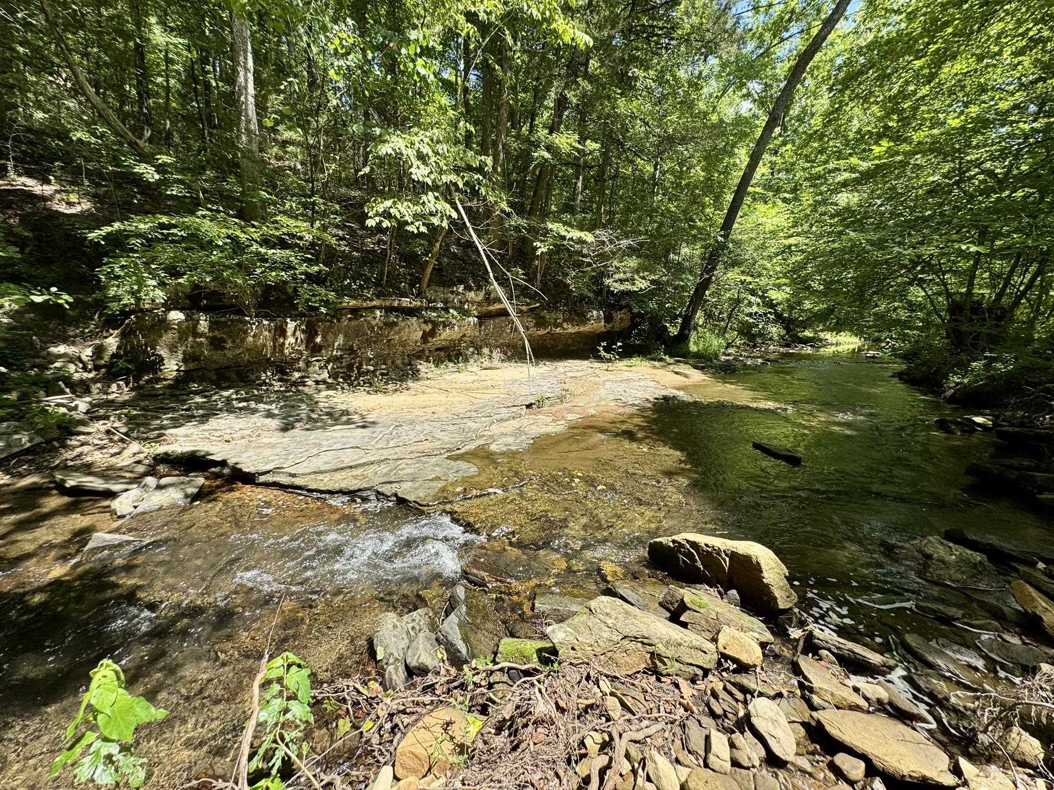 Photo 2 - Vacant Land for sale – 75.33 acres  Rose Trail   Melbourne, AR