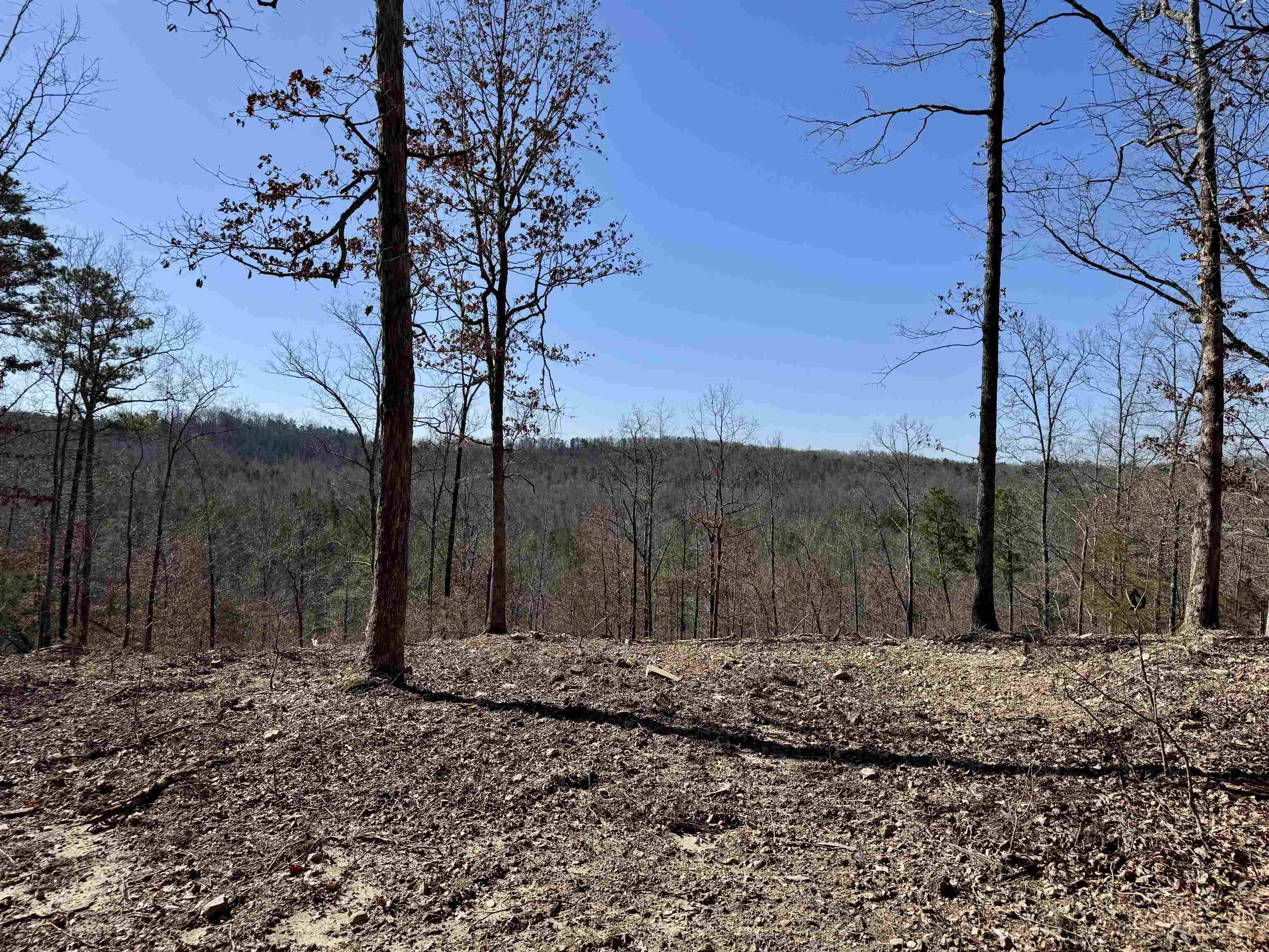 Photo 13 - Vacant Land for sale – 75.33 acres  Rose Trail   Melbourne, AR