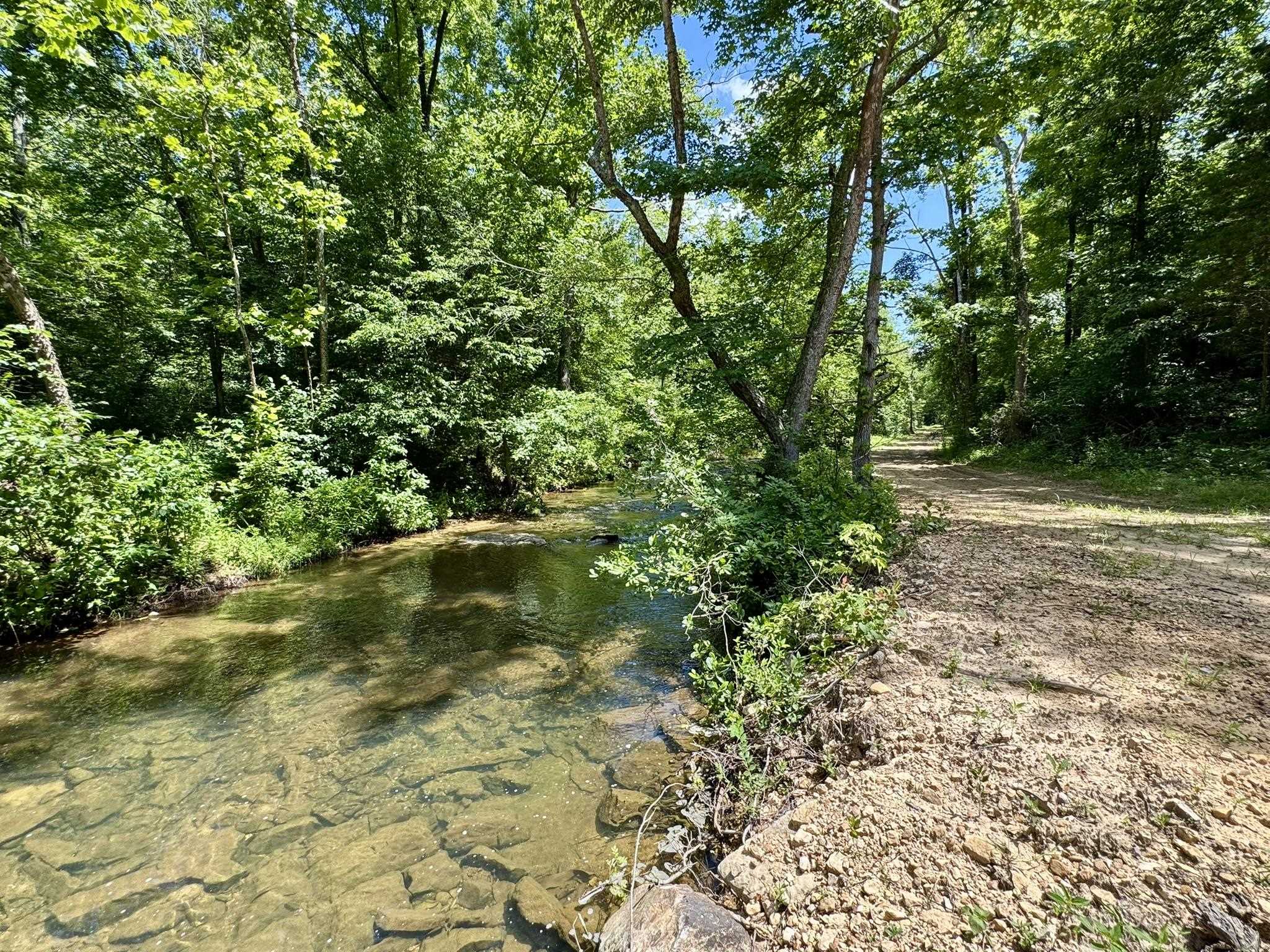 Photo 4 - Vacant Land for sale – 75.33 acres  Rose Trail   Melbourne, AR