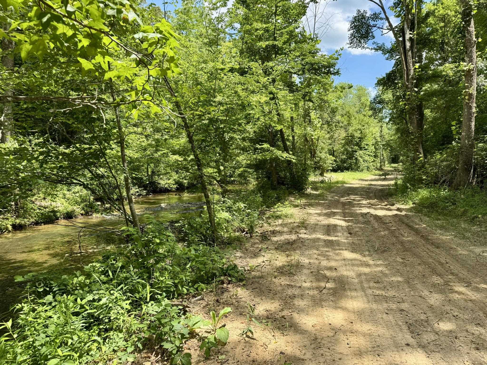 Photo 7 - Vacant Land for sale – 75.33 acres  Rose Trail   Melbourne, AR