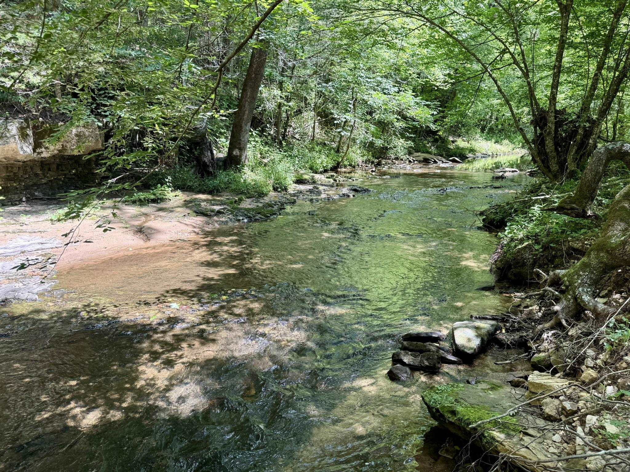 Photo 8 - Vacant Land for sale – 75.33 acres  Rose Trail   Melbourne, AR