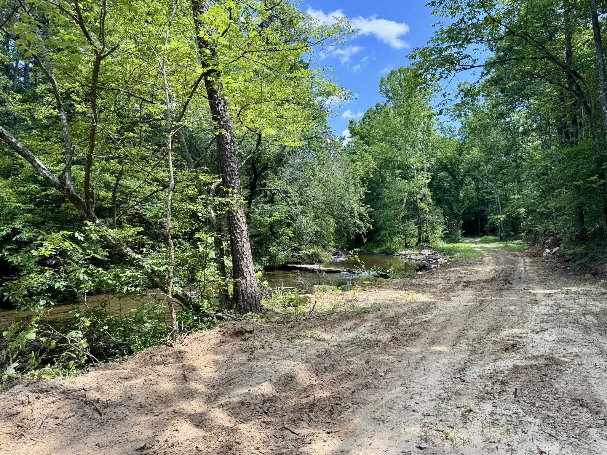 Photo 9 - Vacant Land for sale – 75.33 acres  Rose Trail   Melbourne, AR