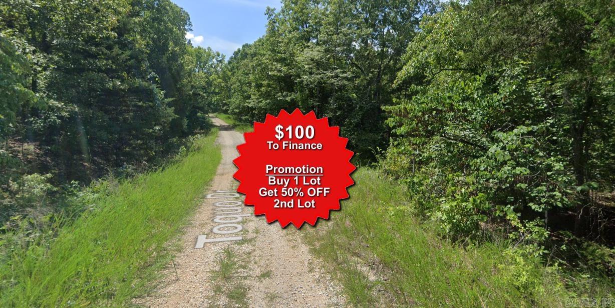 Vacant Land for sale – Lot 10  Ecohee   Cherokee Village, AR