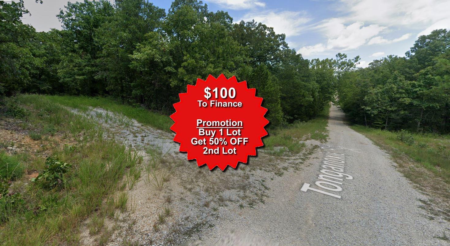 Vacant Land for sale – Lot 13  Coyote   Cherokee Village, AR