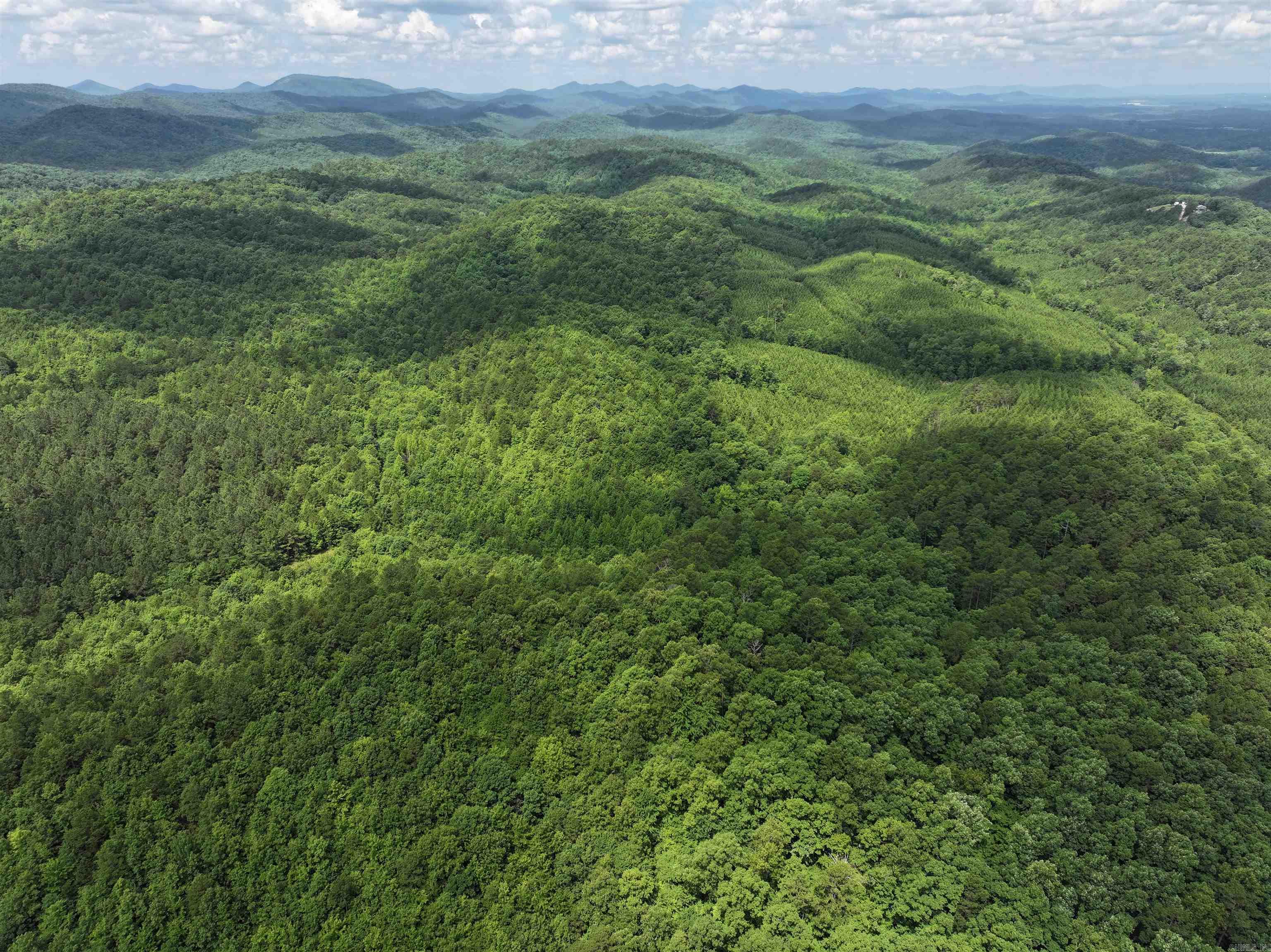 Farm/Ranch/Land for sale – TBD  Polk Road 61   Mena, AR