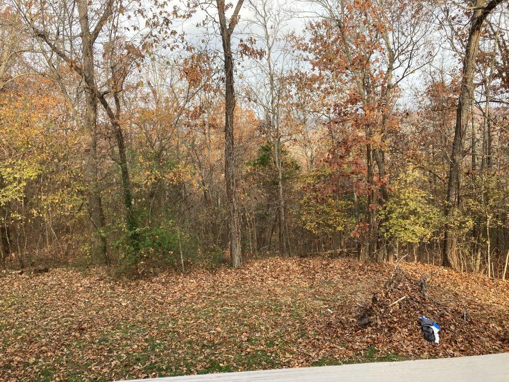 Photo 24 - Residential for sale – 46  Choctaw   Cherokee Village, AR