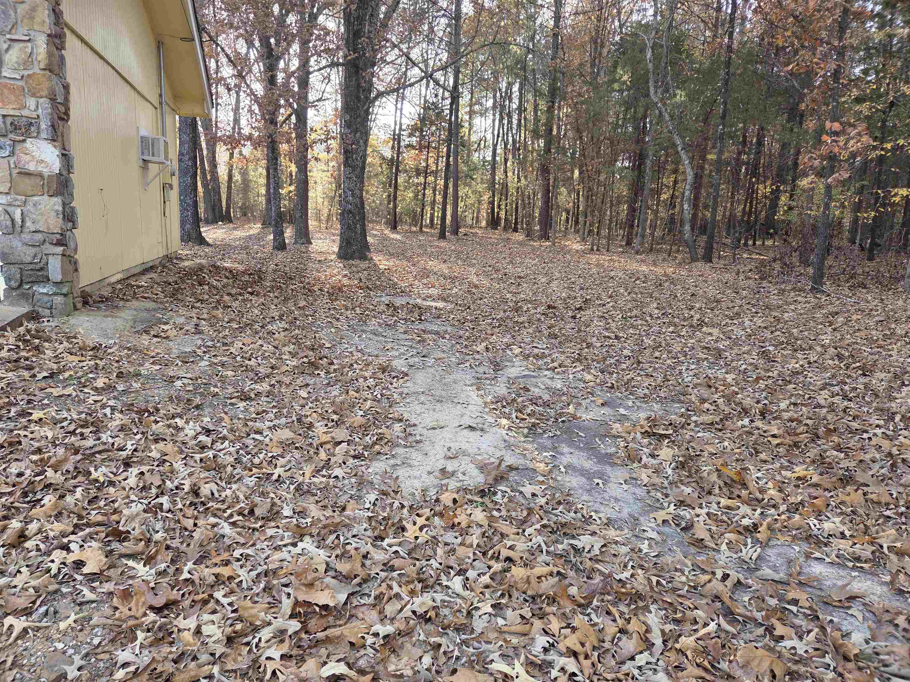 Photo 3 - Residential for sale – 156  Pottawattamie   Cherokee Village, AR