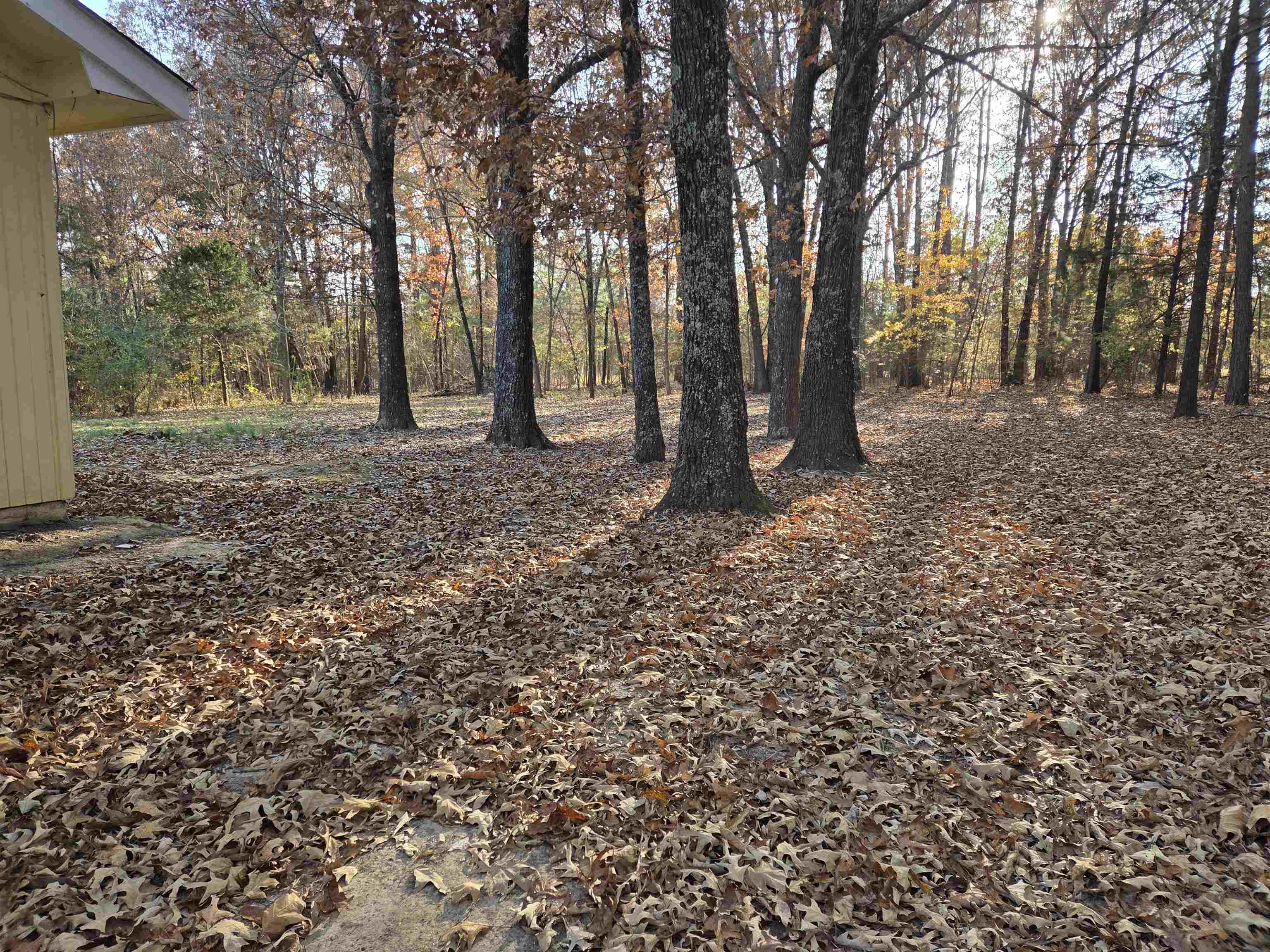 Photo 4 - Residential for sale – 156  Pottawattamie   Cherokee Village, AR