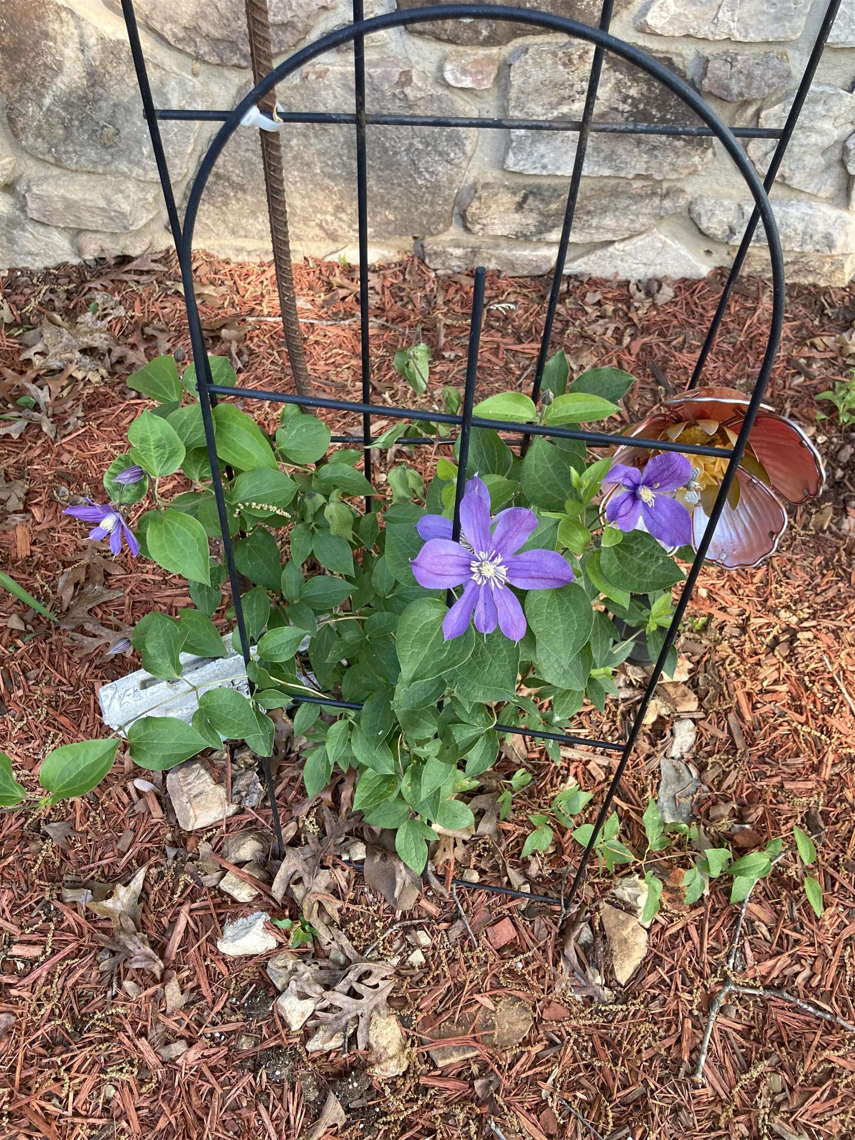 Photo 29 - Residential for sale – 45  Bluff   Hardy, AR