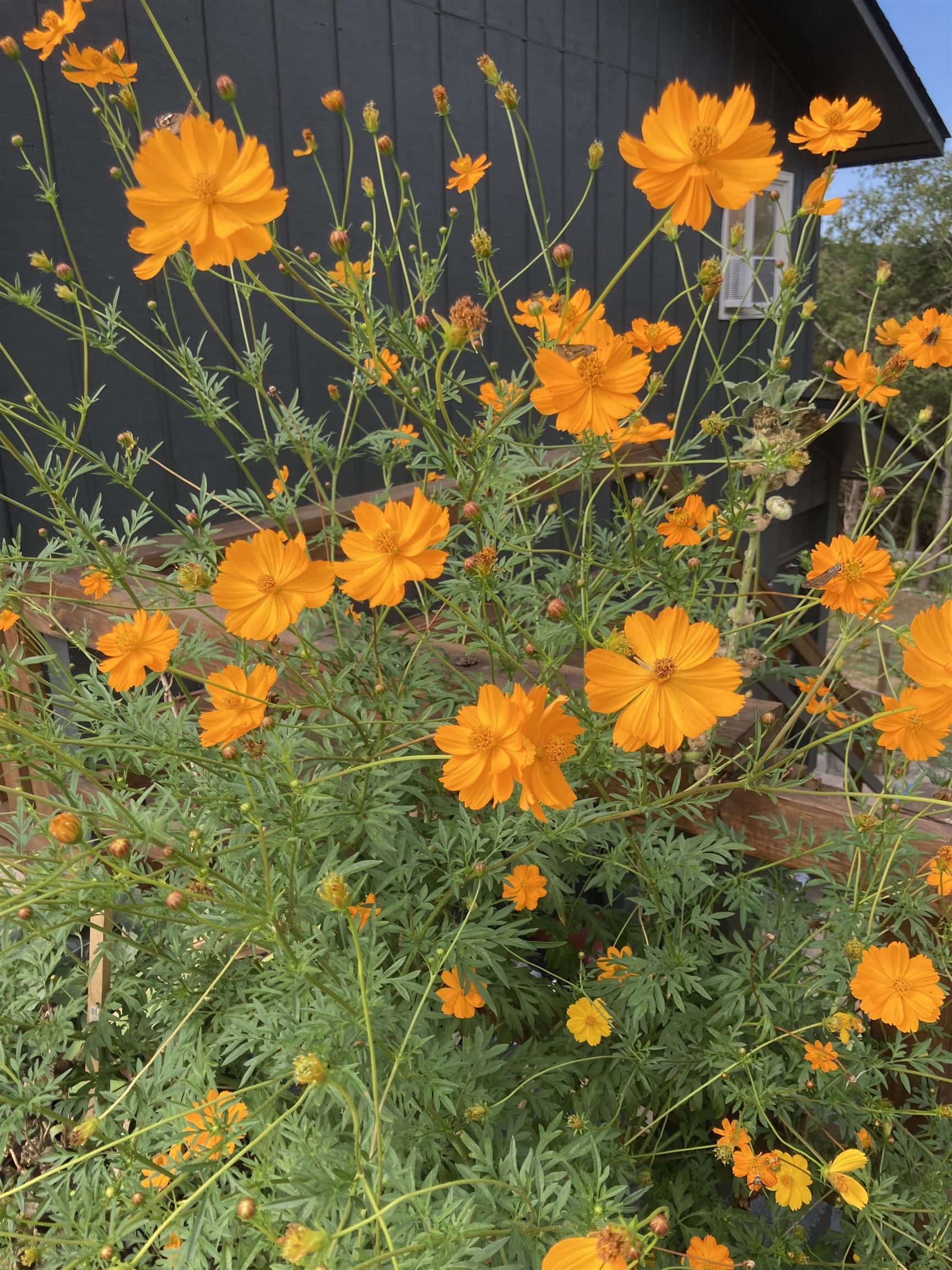 Photo 30 - Residential for sale – 45  Bluff   Hardy, AR