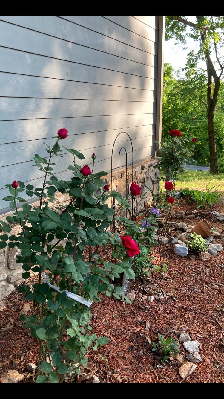 Photo 31 - Residential for sale – 45  Bluff   Hardy, AR