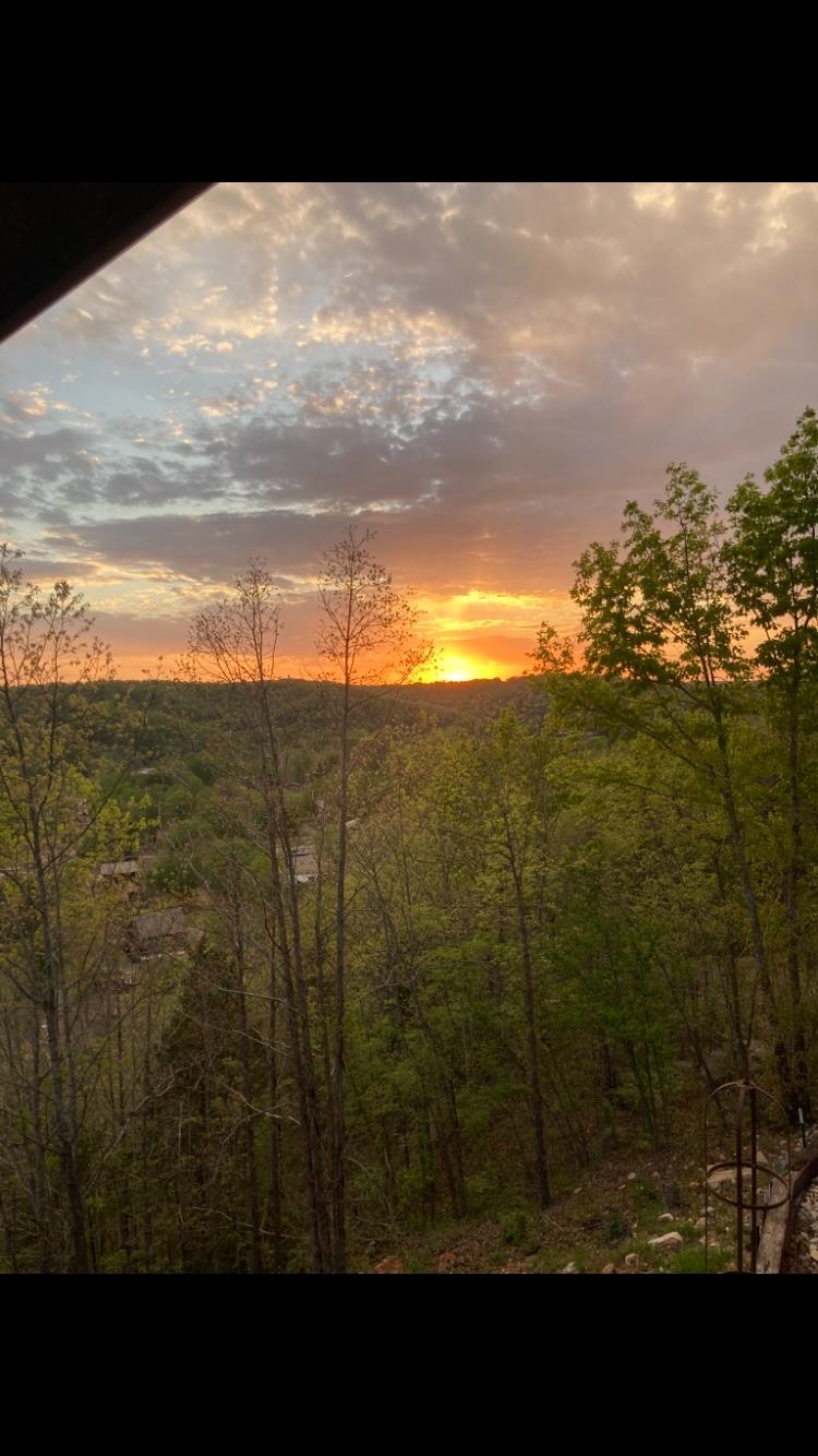 Photo 32 - Residential for sale – 45  Bluff   Hardy, AR