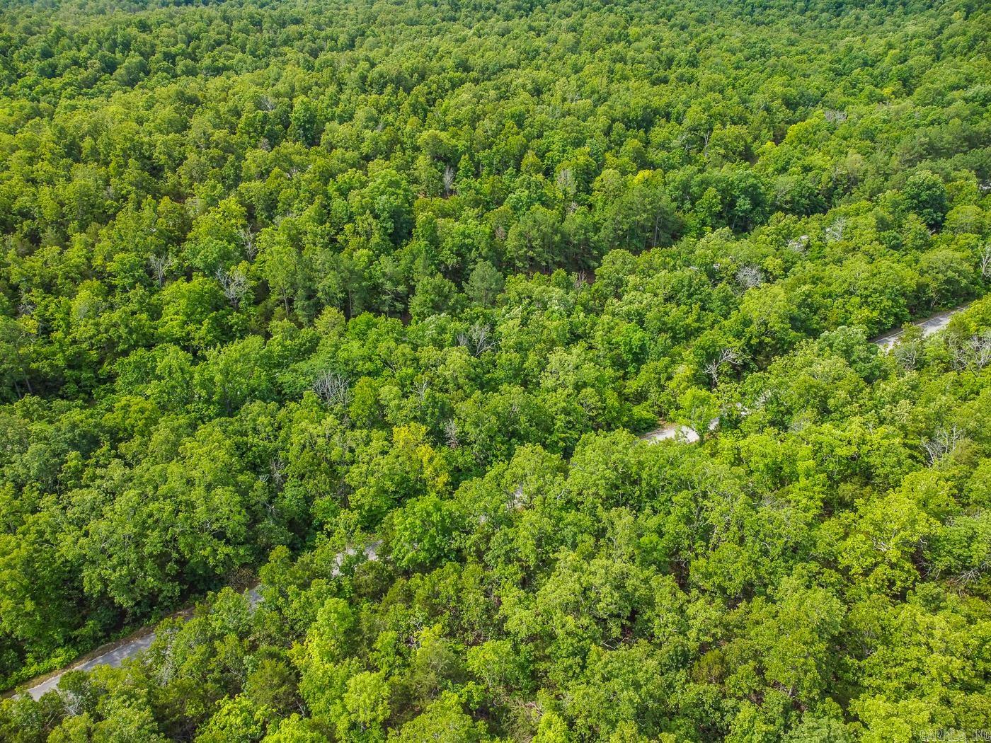 Photo 30 - Vacant Land for sale – 22  Lake Chanute Area Lots   Cherokee Village, AR