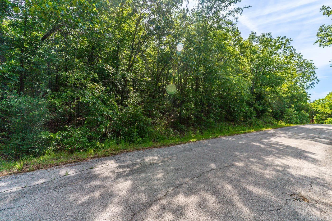 Photo 33 - Vacant Land for sale – 22  Lake Chanute Area Lots   Cherokee Village, AR