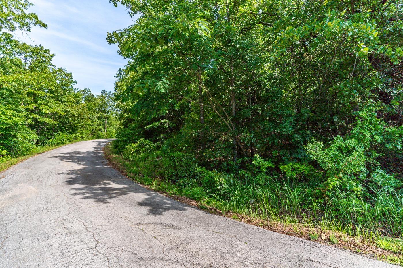 Photo 34 - Vacant Land for sale – 22  Lake Chanute Area Lots   Cherokee Village, AR