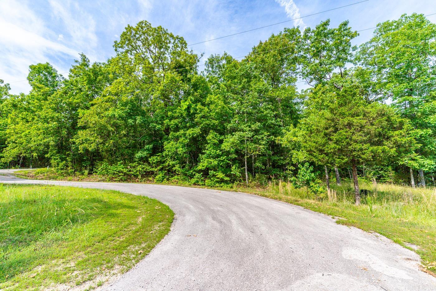 Photo 37 - Vacant Land for sale – 22  Lake Chanute Area Lots   Cherokee Village, AR